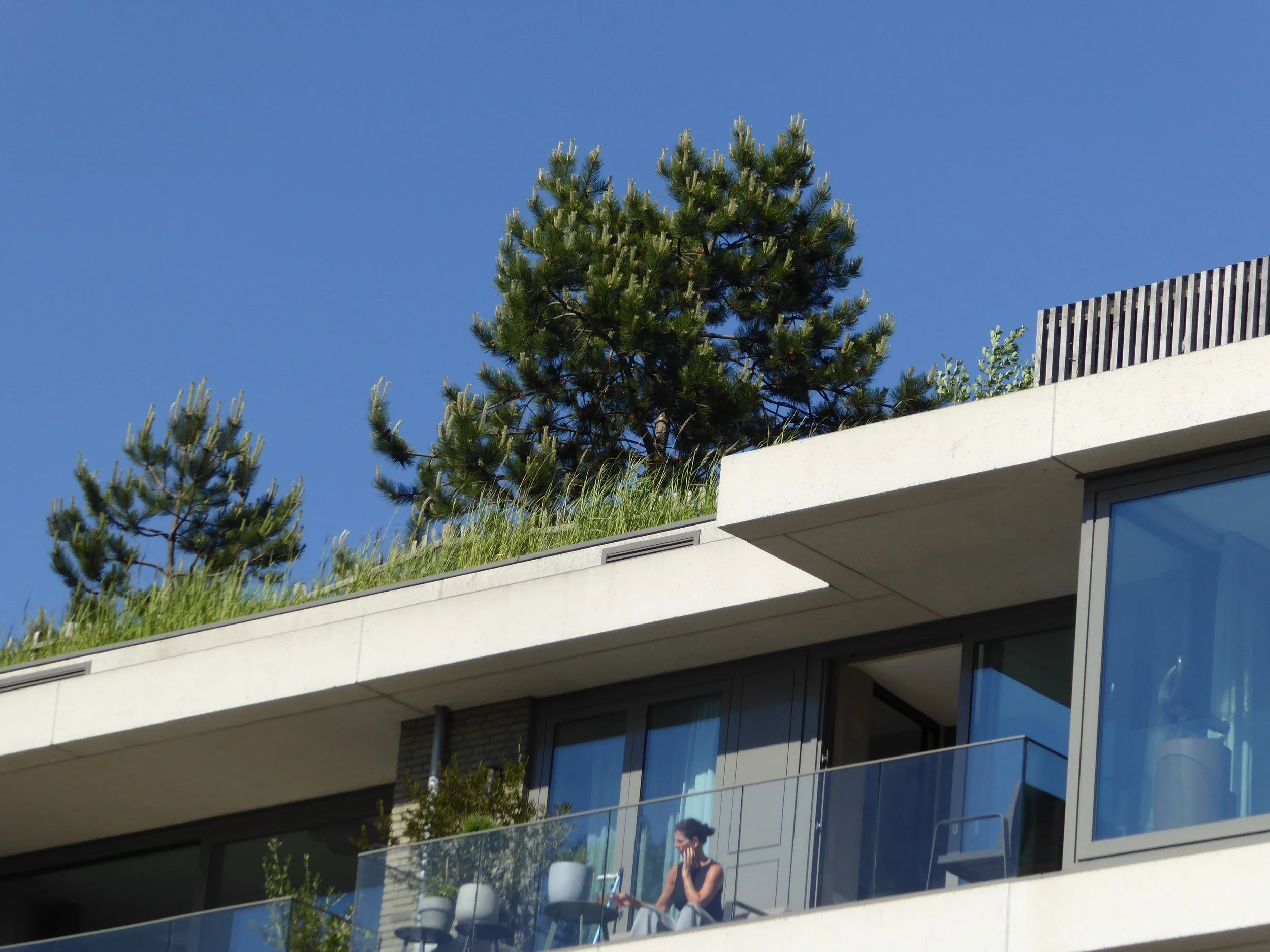 A woman sitting on a balcony of a modern apartment building, with large glass windows and a glass railing, talking on a phone, with potted plants nearby. The building has a green rooftop with pine trees against a clear blue sky.