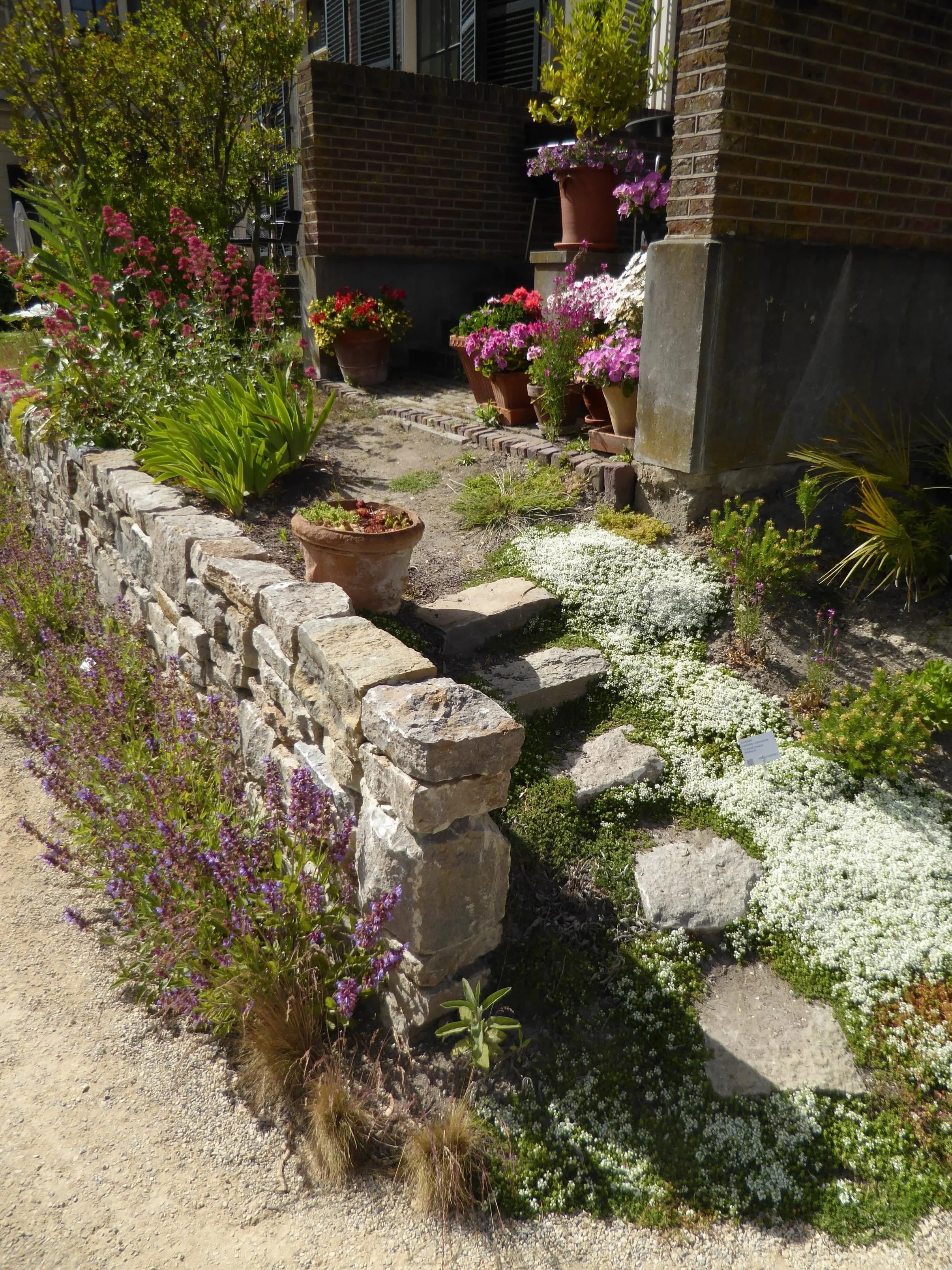 A small landscaped garden with potted flowers on a brick wall and stone steps, surrounded by various blooming plants and shrubs.