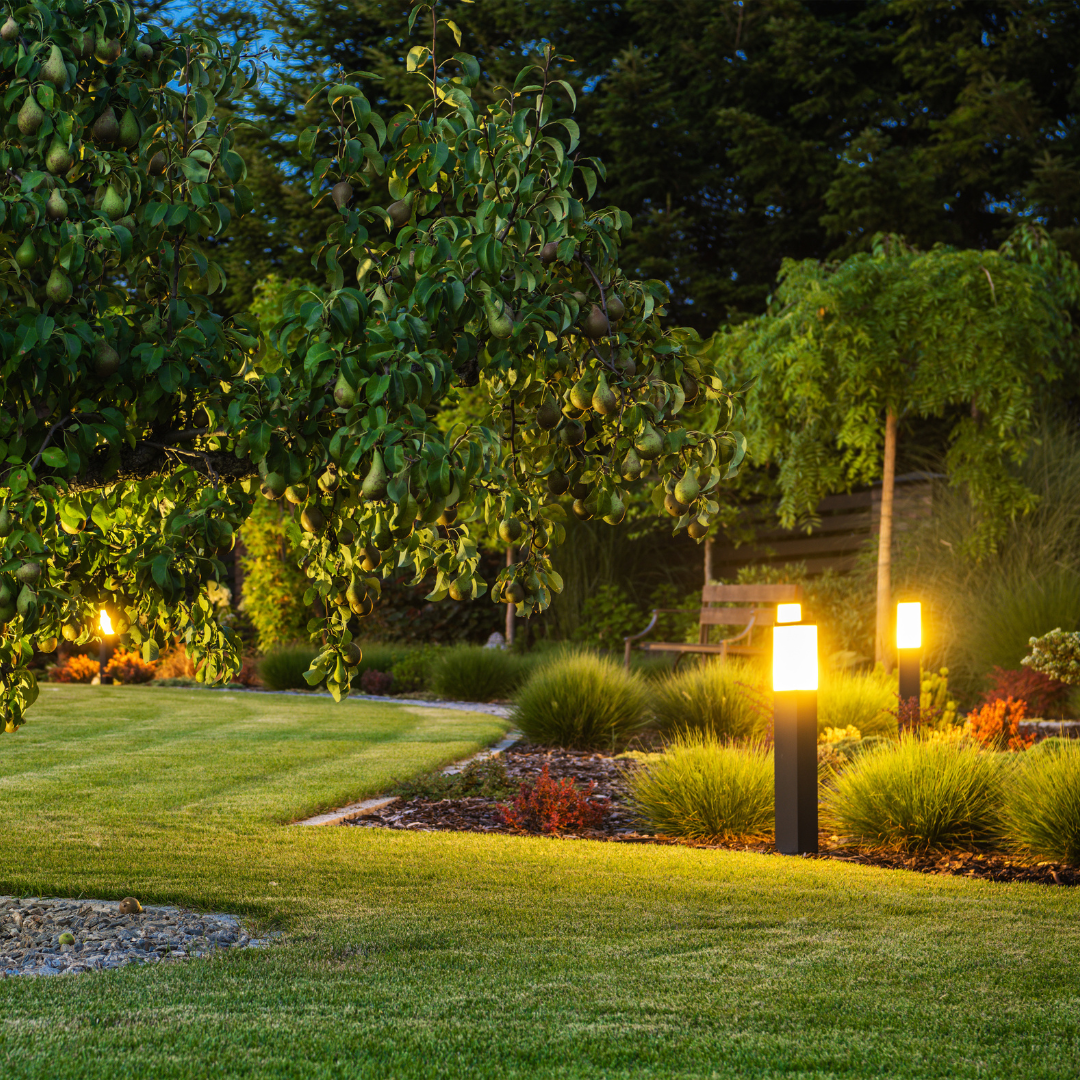 A landscaped garden with a pear tree and ornamental grasses illuminated by outdoor pathway lights at dusk.