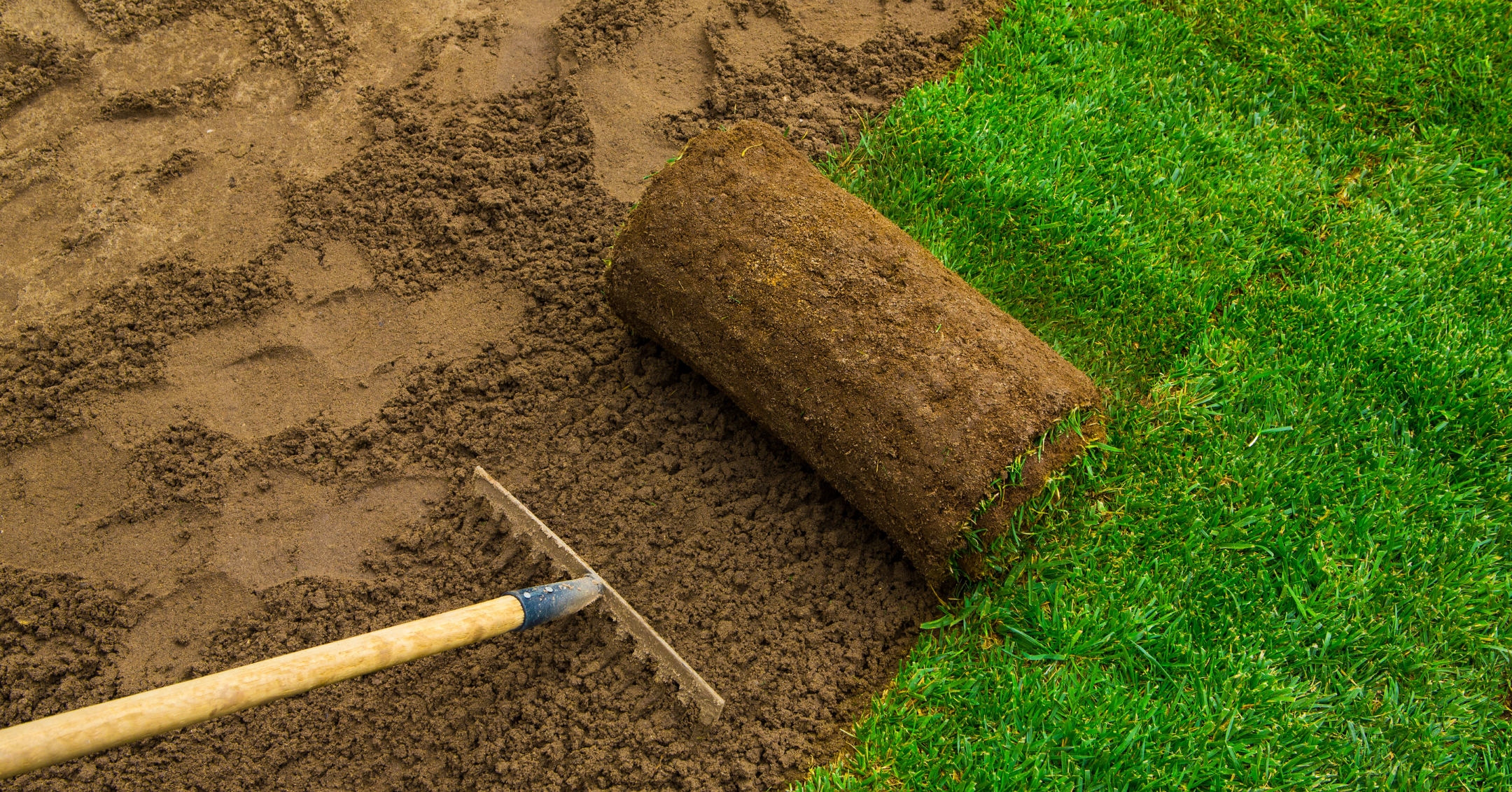 A section of soil being prepared for sod installation. There is a rake in the soil next to the transition between bare ground and a patch of green grass. A rolled-up section of sod is partially unrolled on the soil.