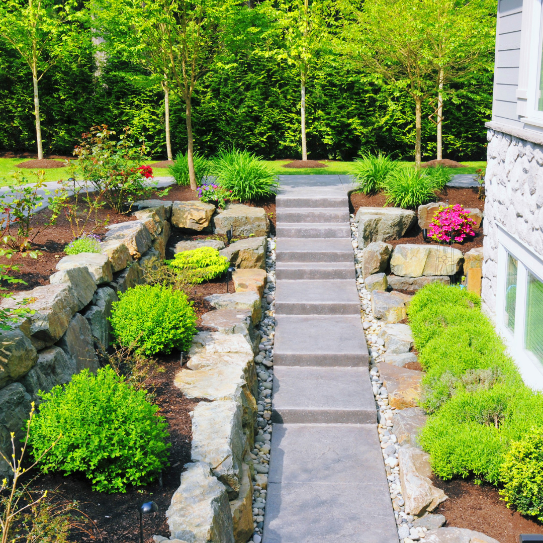 Stone pathway with steps leading up a landscaped garden with flowering bushes and green shrubs on either side, with trees and a hedge in the background.