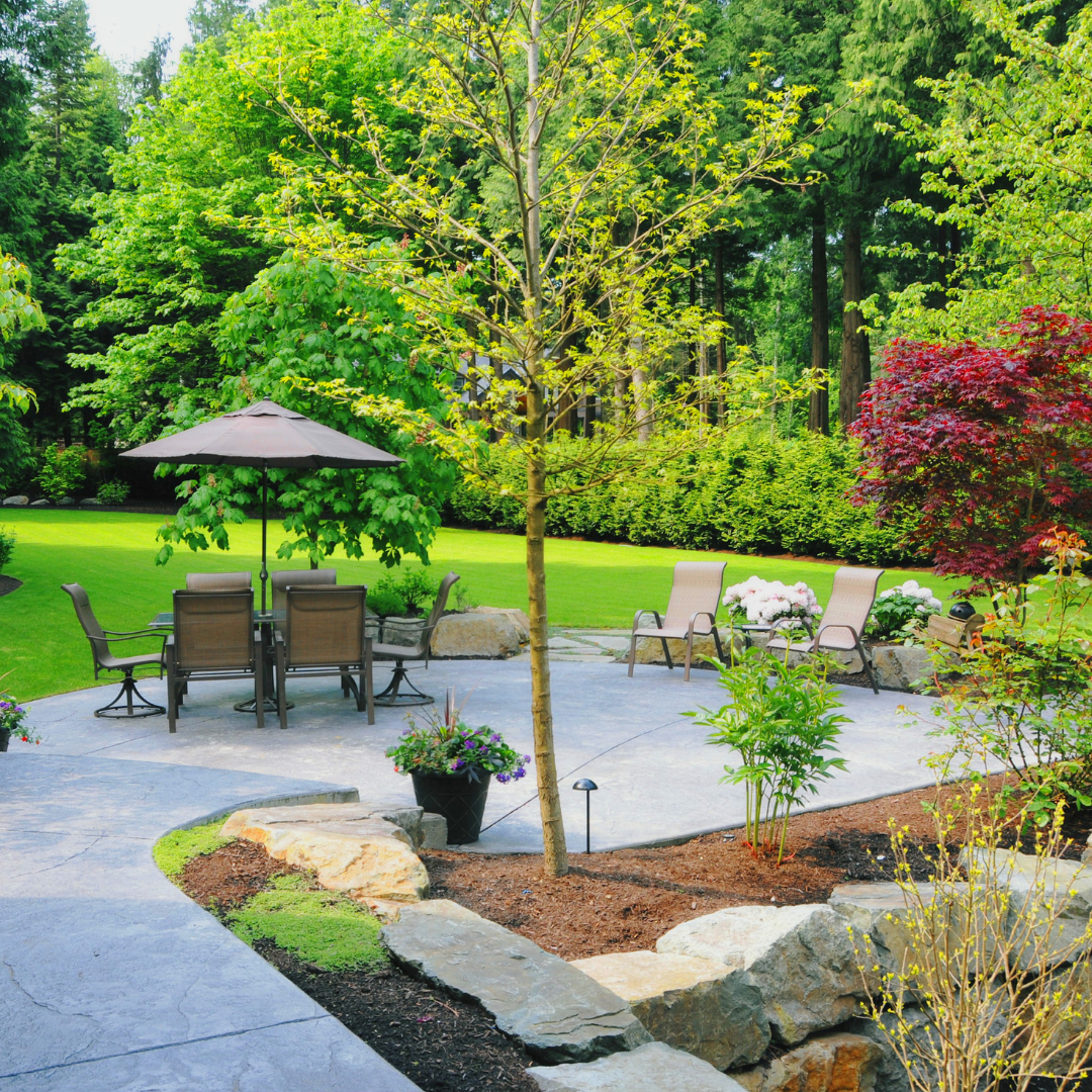 A landscaped backyard with a concrete patio, a round dining table with six chairs and a large umbrella, two lounge chairs with small side tables, various green plants, trees, and colorful shrubs surrounded by a lush lawn and dense wooded area.
