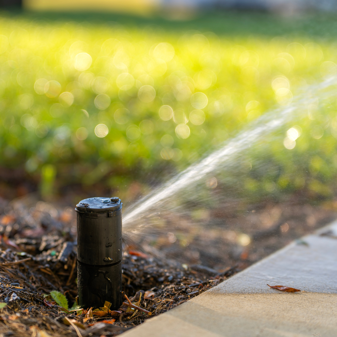 Close-up of a black outdoor sprinkler watering a garden bed with soil and fallen leaves, with a blurred green lawn in the background.