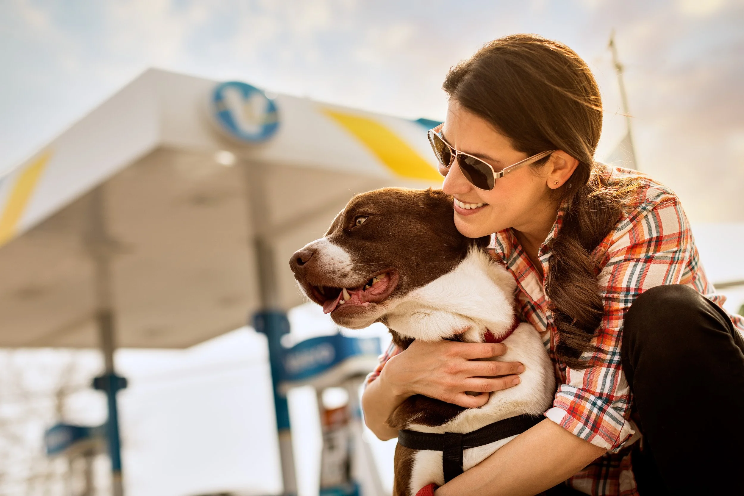 A smiling woman with sunglasses embraces a brown and white dog outdoors, with a dog agility obstacle and blue sky in the background.