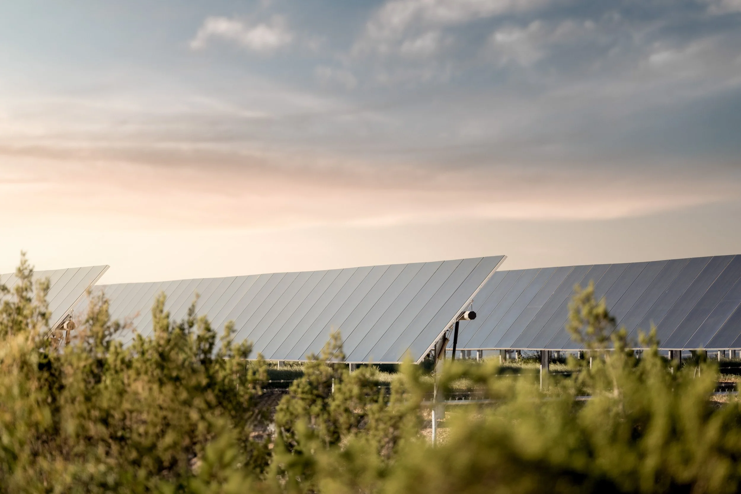 A large array of solar panels installed outdoors beneath a cloudy sky, with trees in the foreground.
