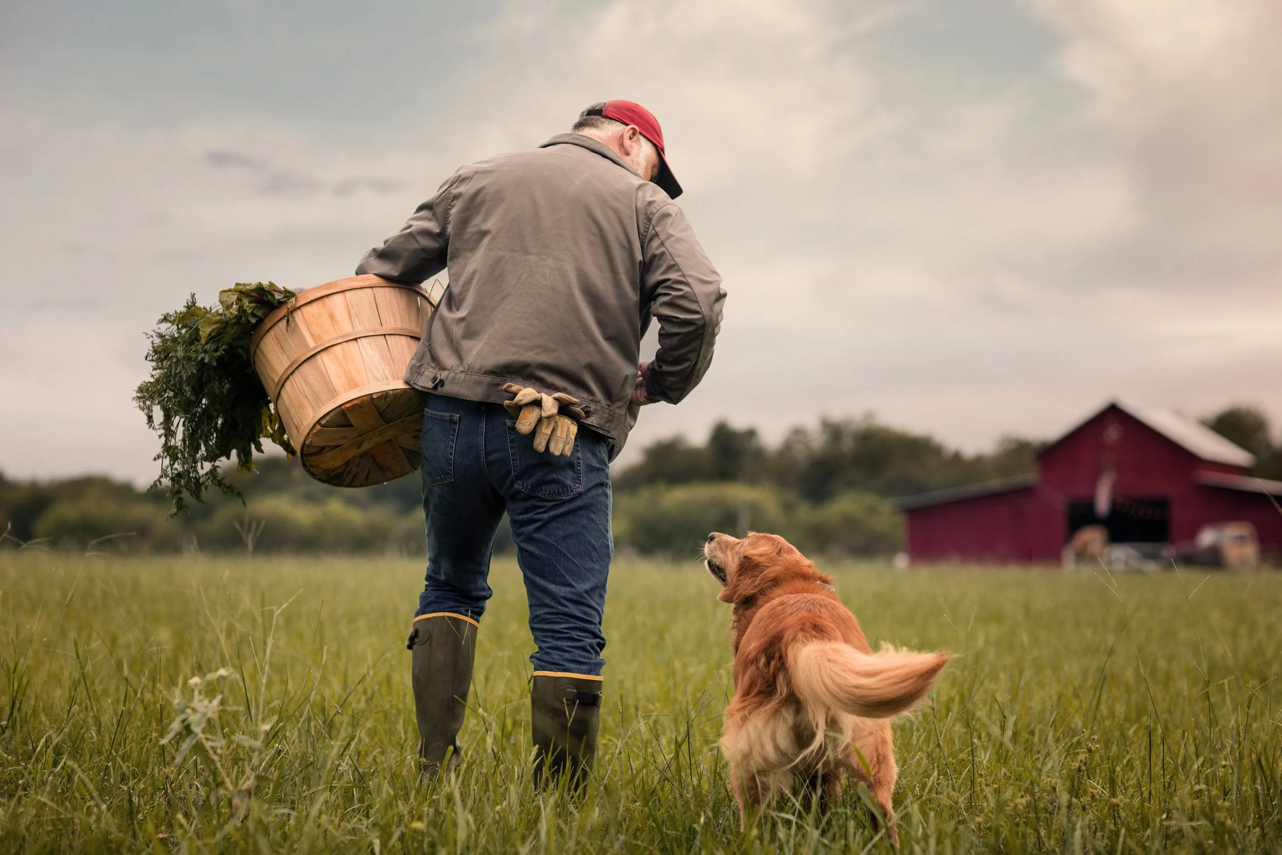 Farmer's Market Pet Food