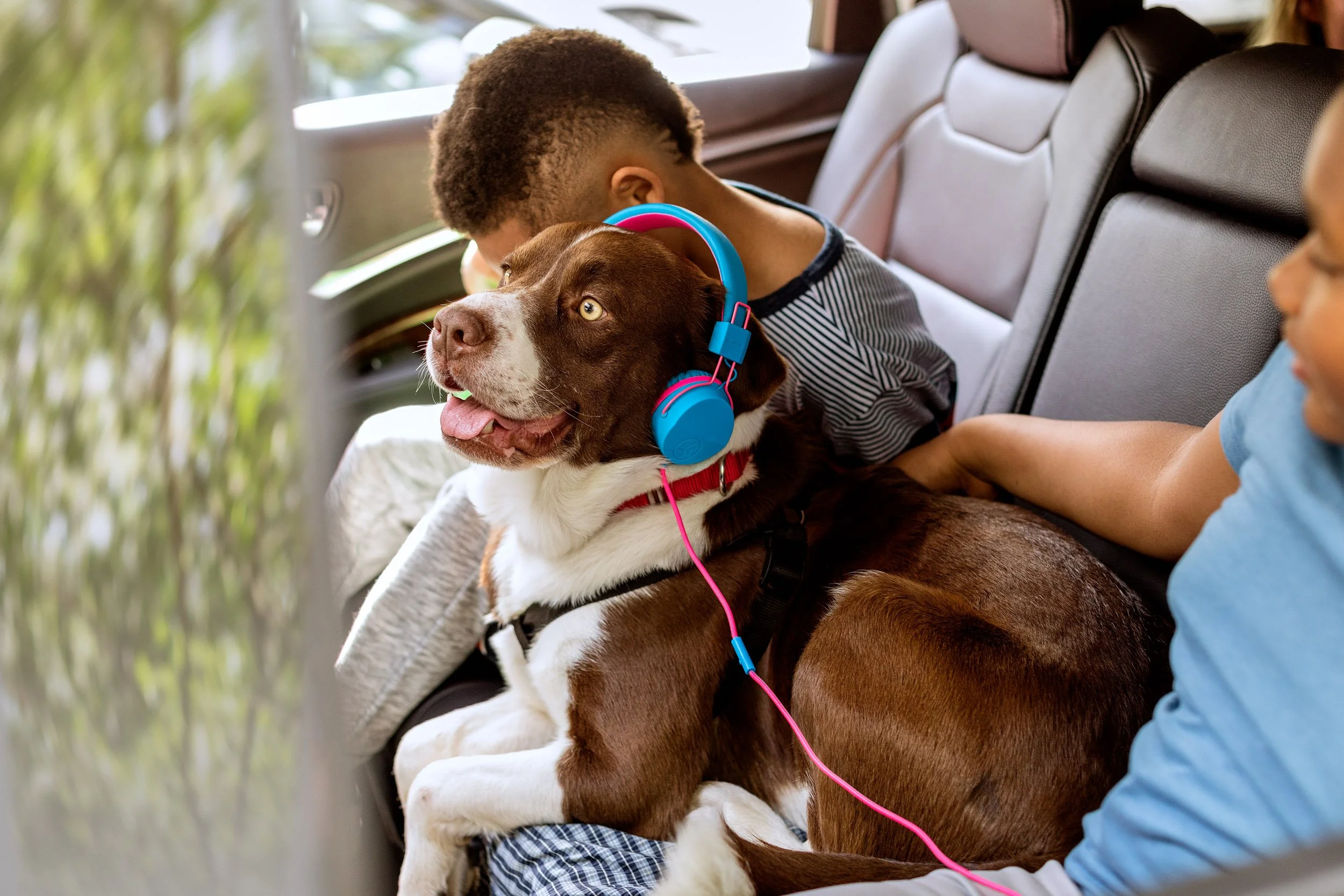 A young boy and girl sitting on the backseat of a vehicle. The boy has a brown and white dog with blue headphones resting on its neck, looking out the window with a relaxed expression.