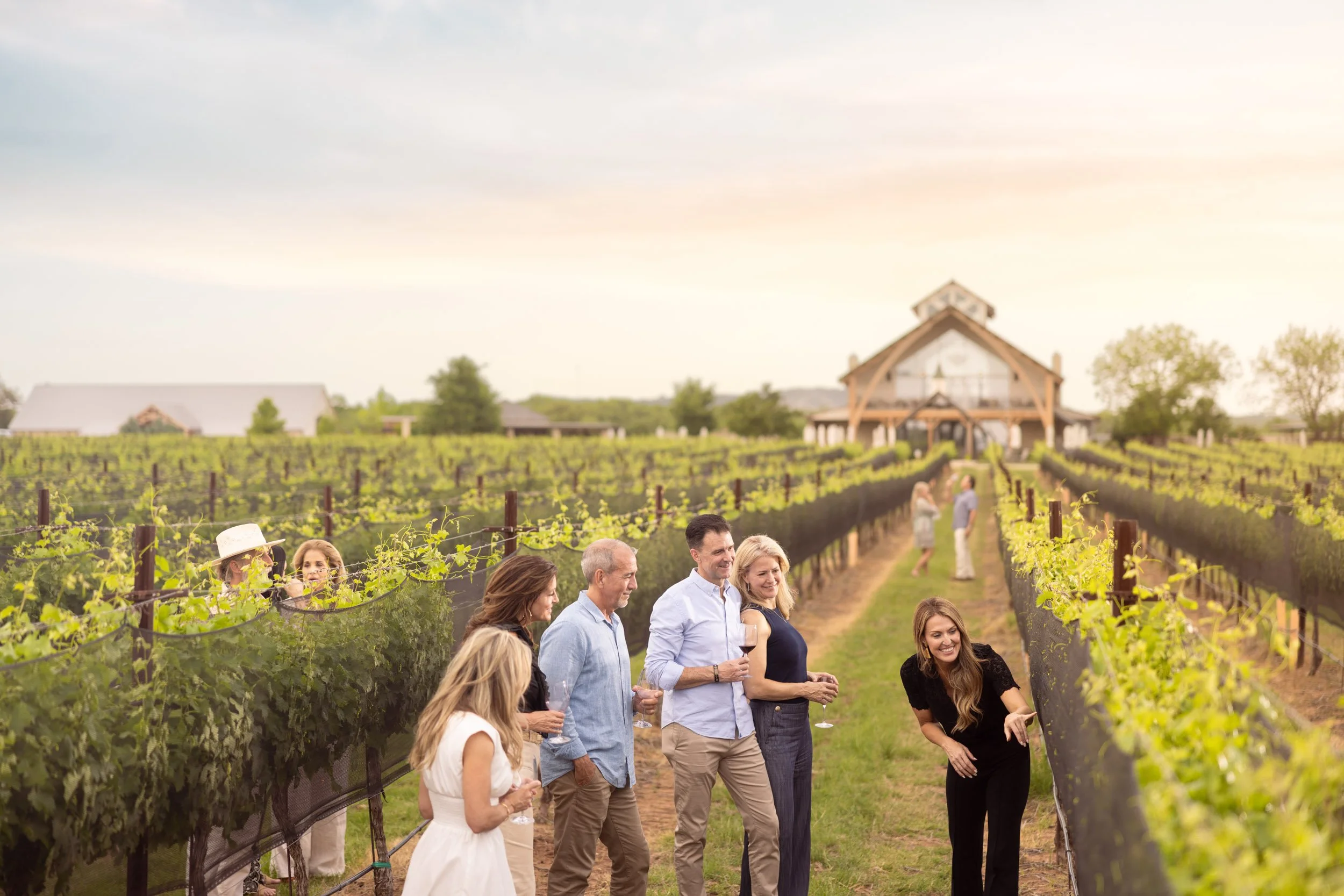 People enjoying a wine tasting event in a vineyard during sunset.