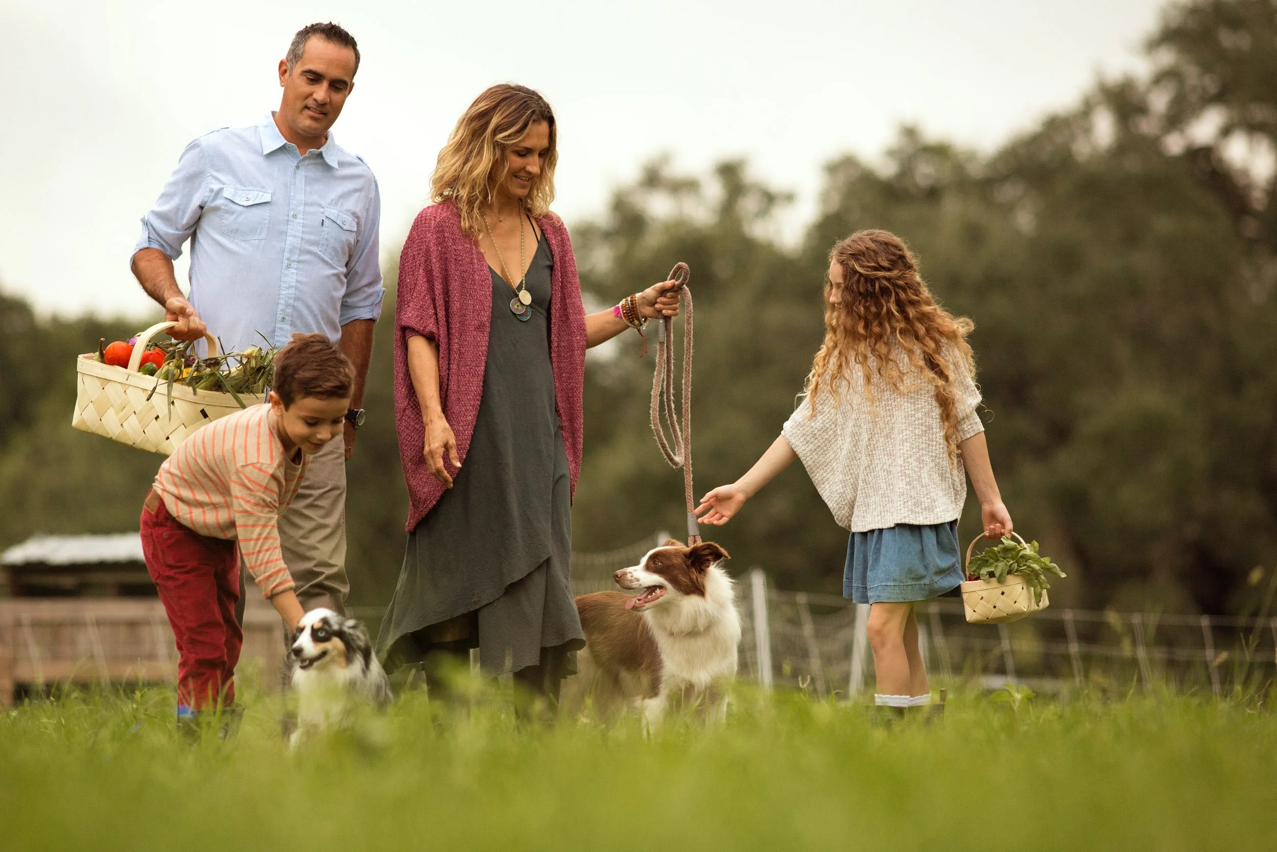 A family walking outdoors in a grassy area with two dogs, carrying baskets of produce, and enjoying a cloudy day.