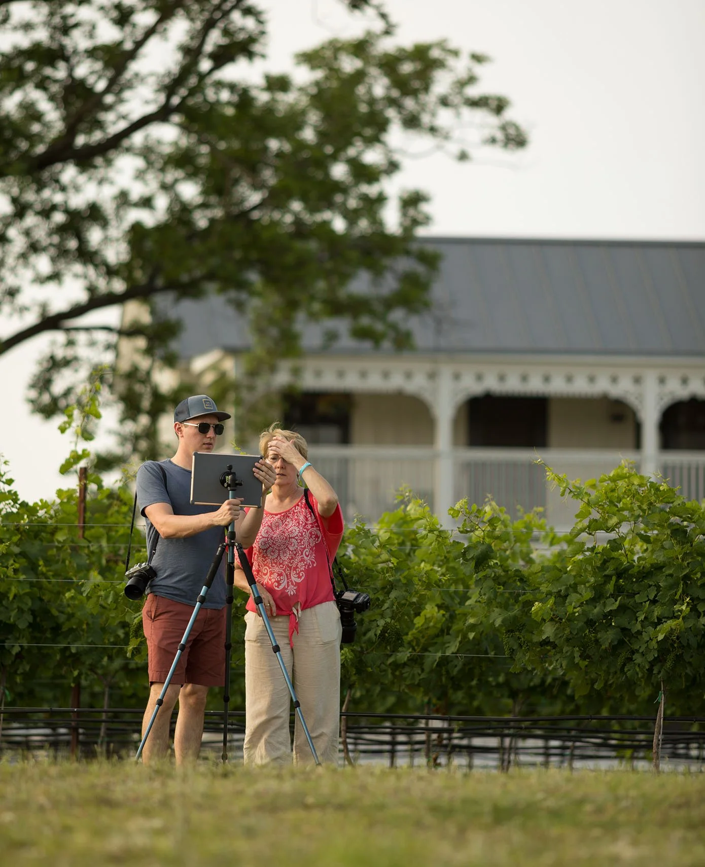A young man and an older woman standing in a vineyard during daytime, with the man holding a tablet on a tripod and the woman touching her head, surrounded by lush green grapevines and a large Victorian-style house in the background.