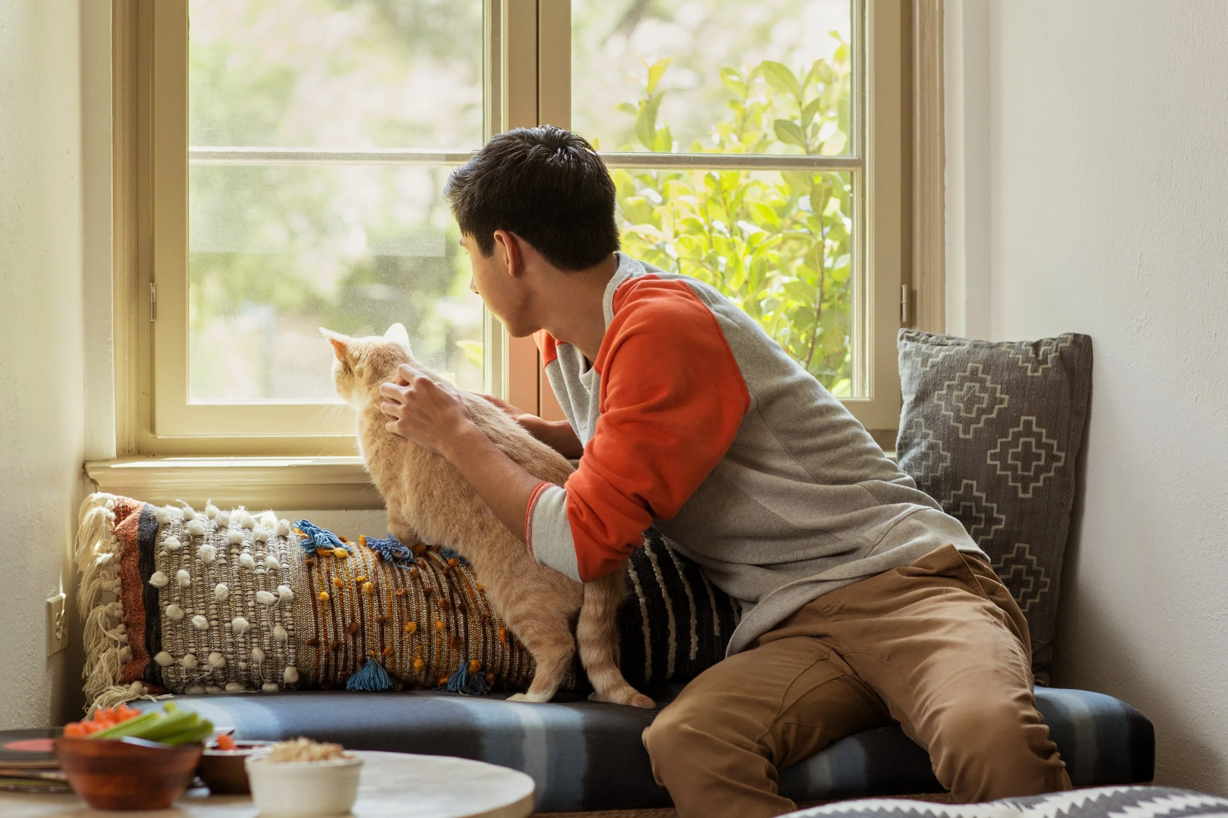A person with short dark hair, wearing a red and gray long-sleeve shirt and khaki pants, sits on a couch by a window, petting an orange tabby cat looking out the window. There is a decorative pillow with geometric patterns on the couch and a tray wit