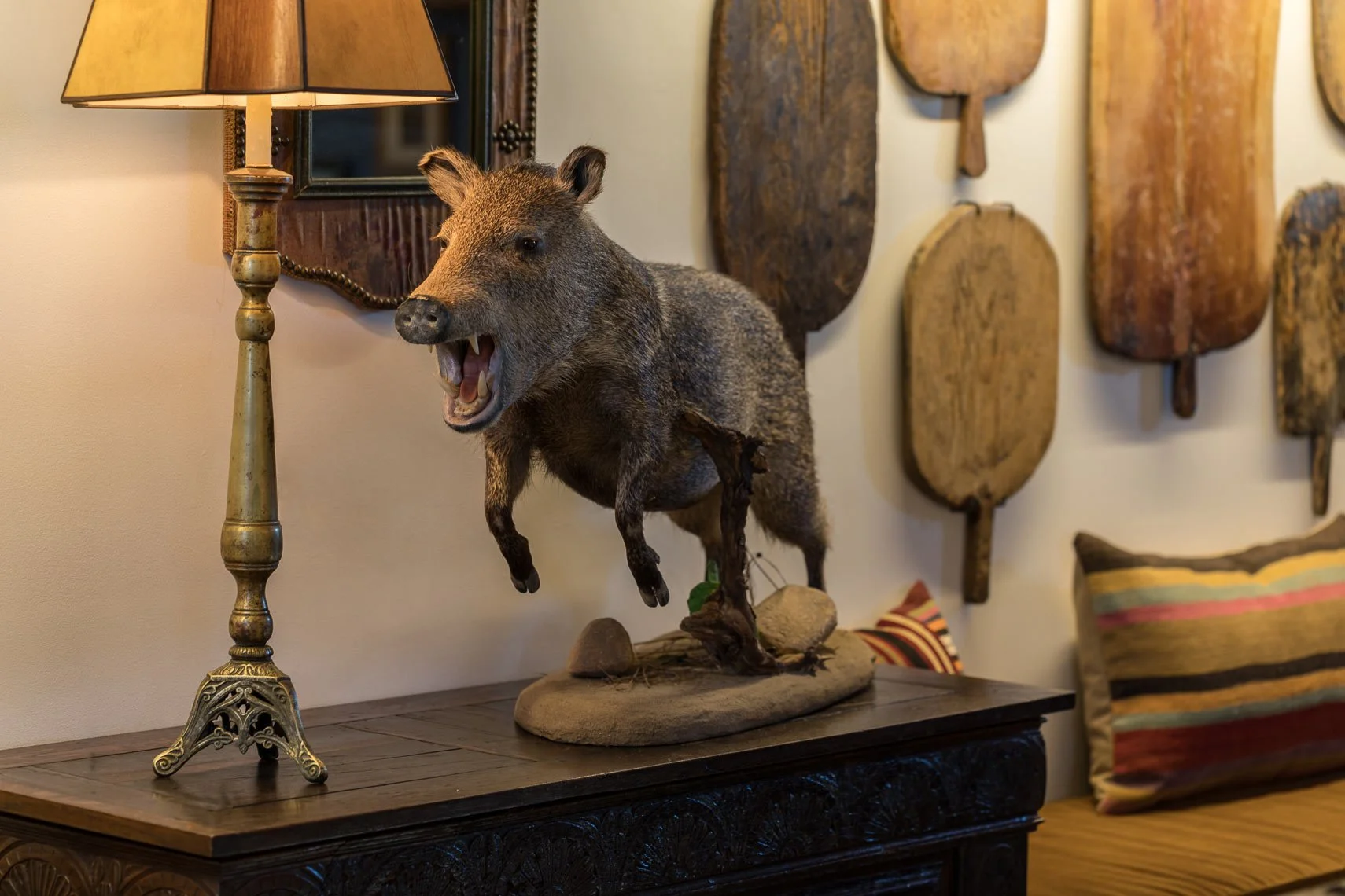 Mounted boar head on a table with a lamp to the left and decorative wooden paddles on the wall behind.