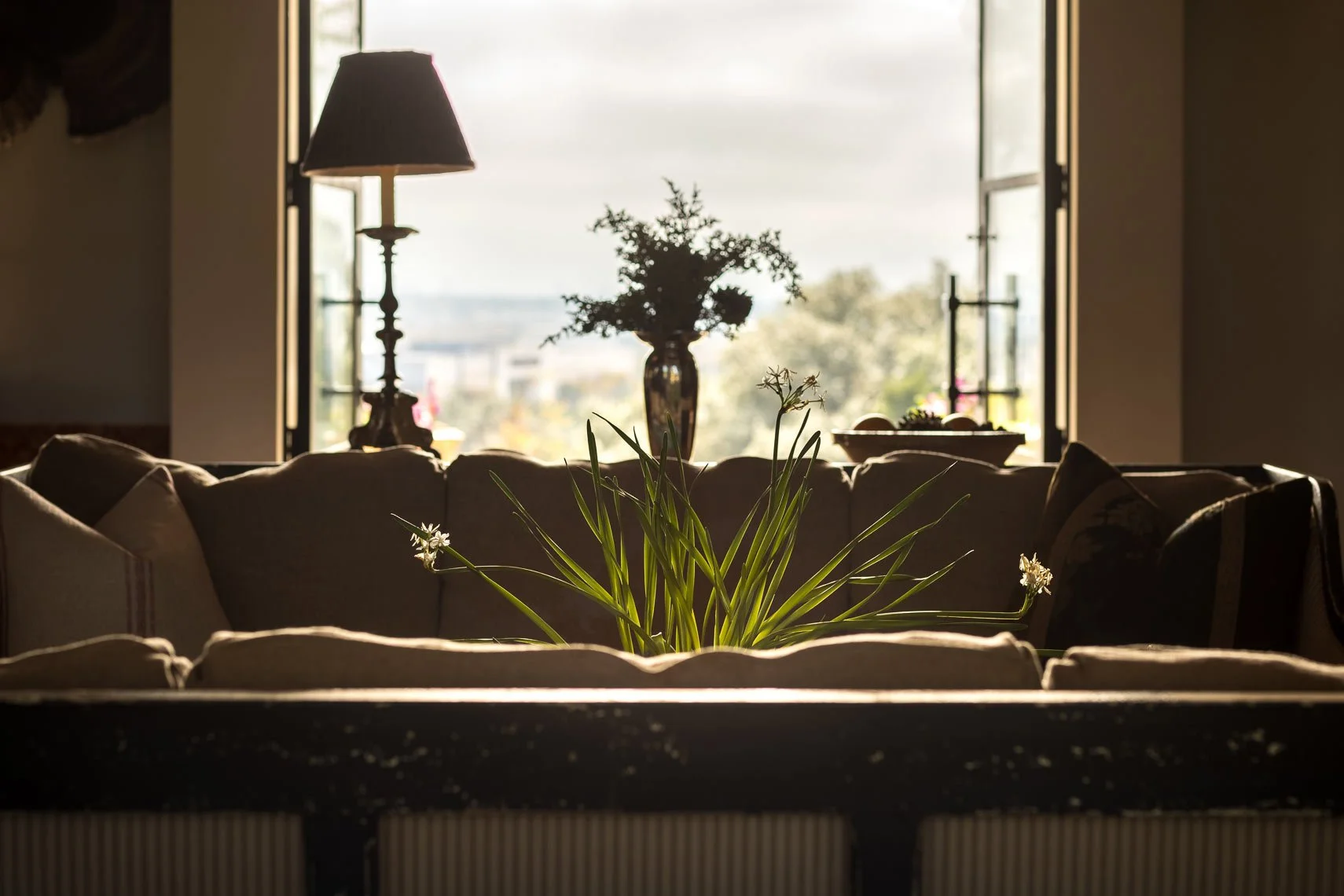 Indoor living room with a sofa, potted plants, a table lamp, and a large window in the background showing a bright outdoor scene.