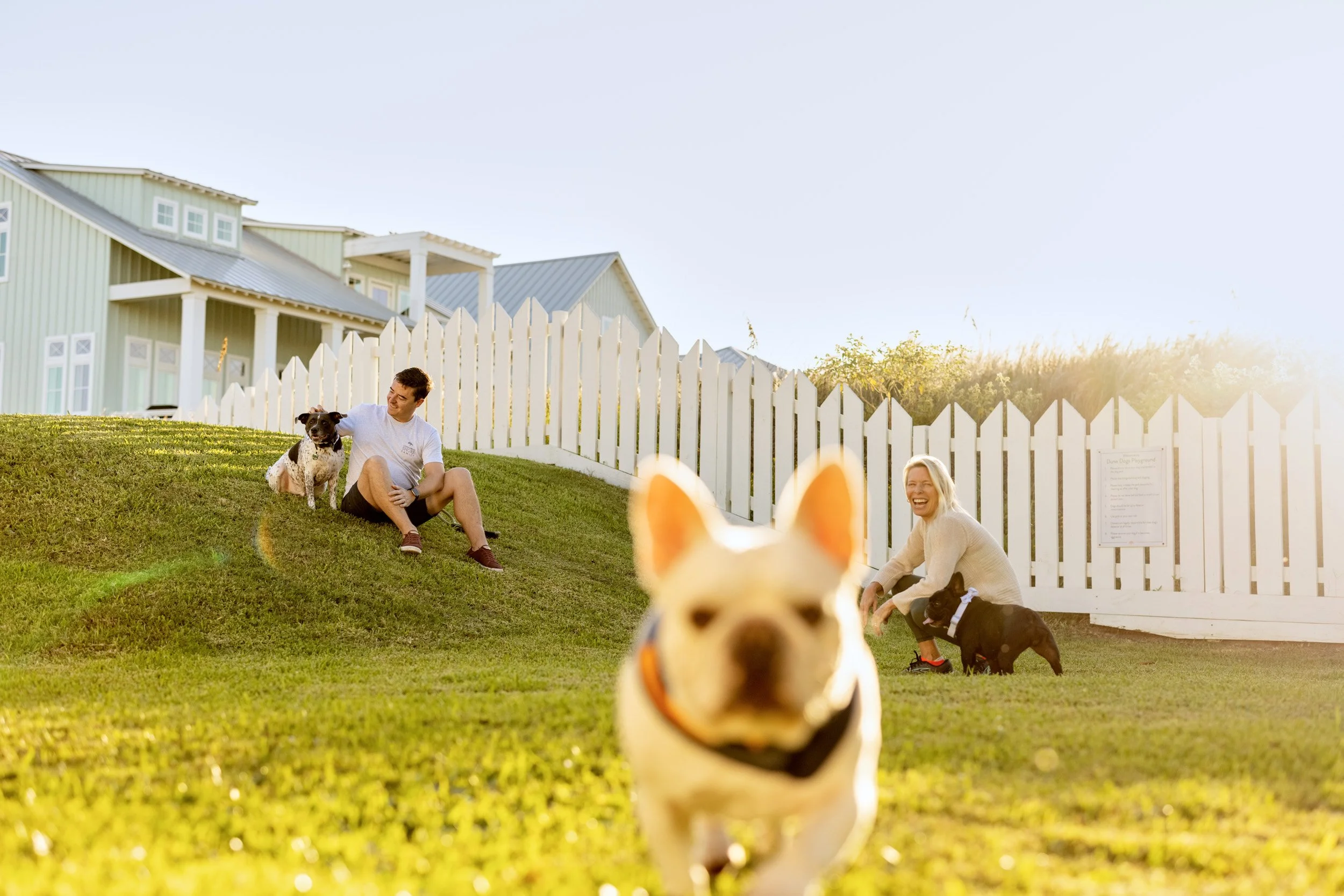 People playing with dogs on a grassy hill near a white picket fence, with a green house in the background and sunlight illuminating the scene.