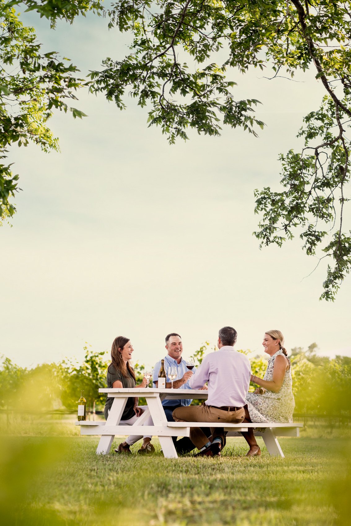 Four people at a picnic table outdoors, enjoying wine and conversation, with greenery and trees in the background.
