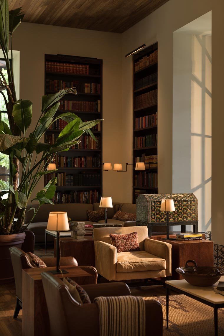 A cozy living room with a large plant, sitting area with beige and brown chairs, and tall bookshelves filled with books. Multiple table lamps provide warm lighting, and sunlight streams through a window casting shadows on the wall.