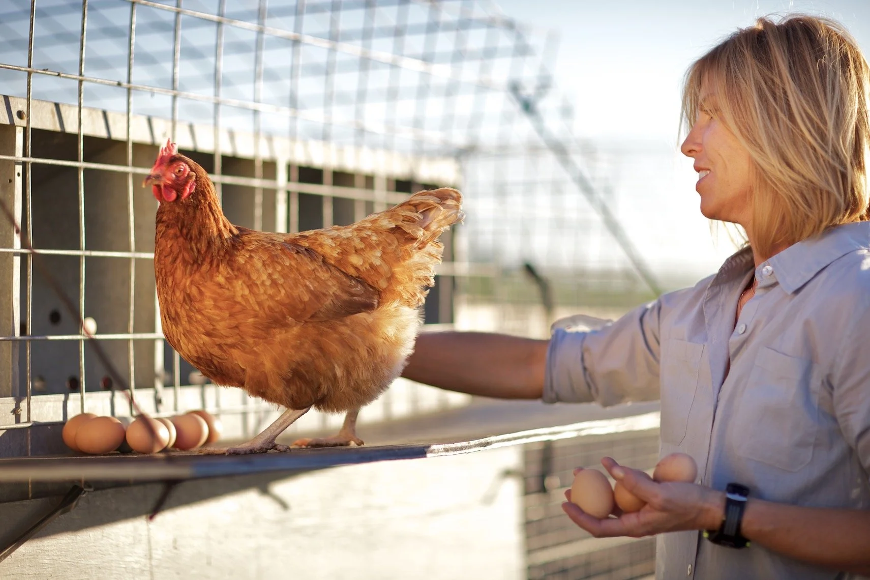 A woman in a light-colored shirt feeding a chicken at a farm, with eggs in her hand and eggs on a shelf near the chicken.