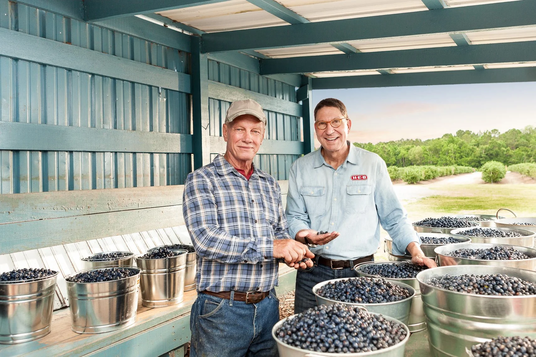 Two men are standing inside a blueberry farm barn with blueberry buckets around them, holding blueberries and smiling. The background shows green fields and trees.