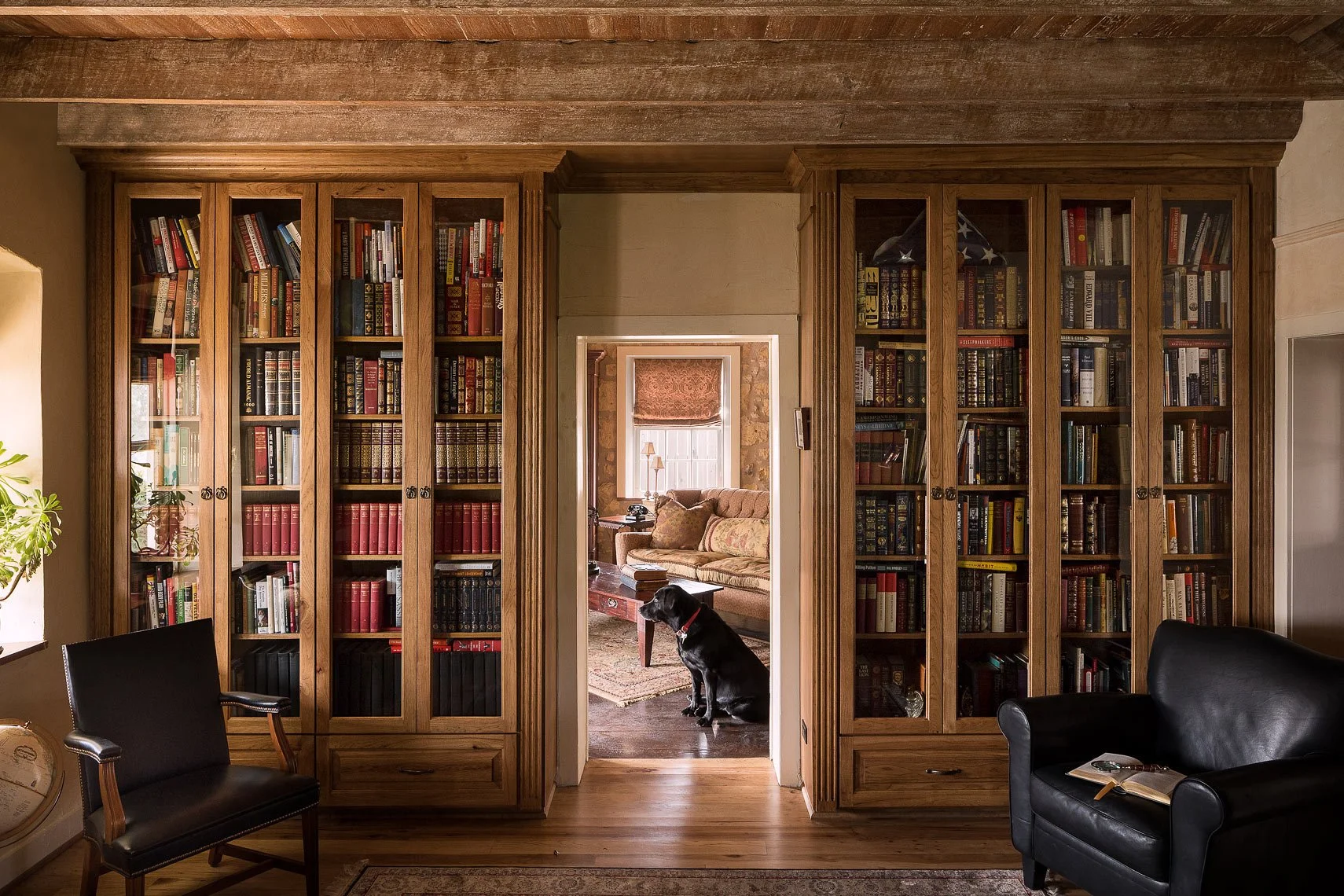 A living room with wooden bookshelves filled with books, a doorway leading to another room with a sofa, a coffee table, a lamp, and a black dog sitting on the floor.