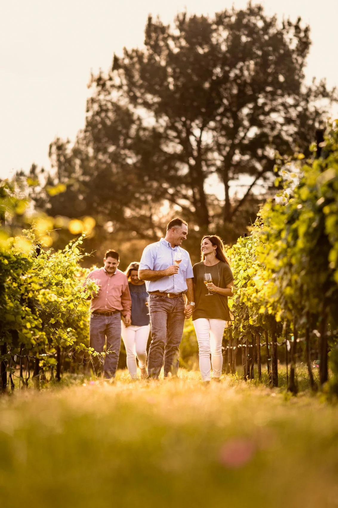 A group of five people walking through a vineyard during sunset, two of them holding wine glasses and smiling at each other.