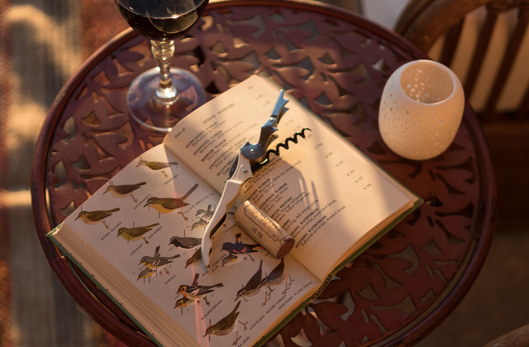 A table with a wine glass, an open bird encyclopedia, a corkscrew, a candle holder, and a candle. The table has a decorative, patterned surface.
