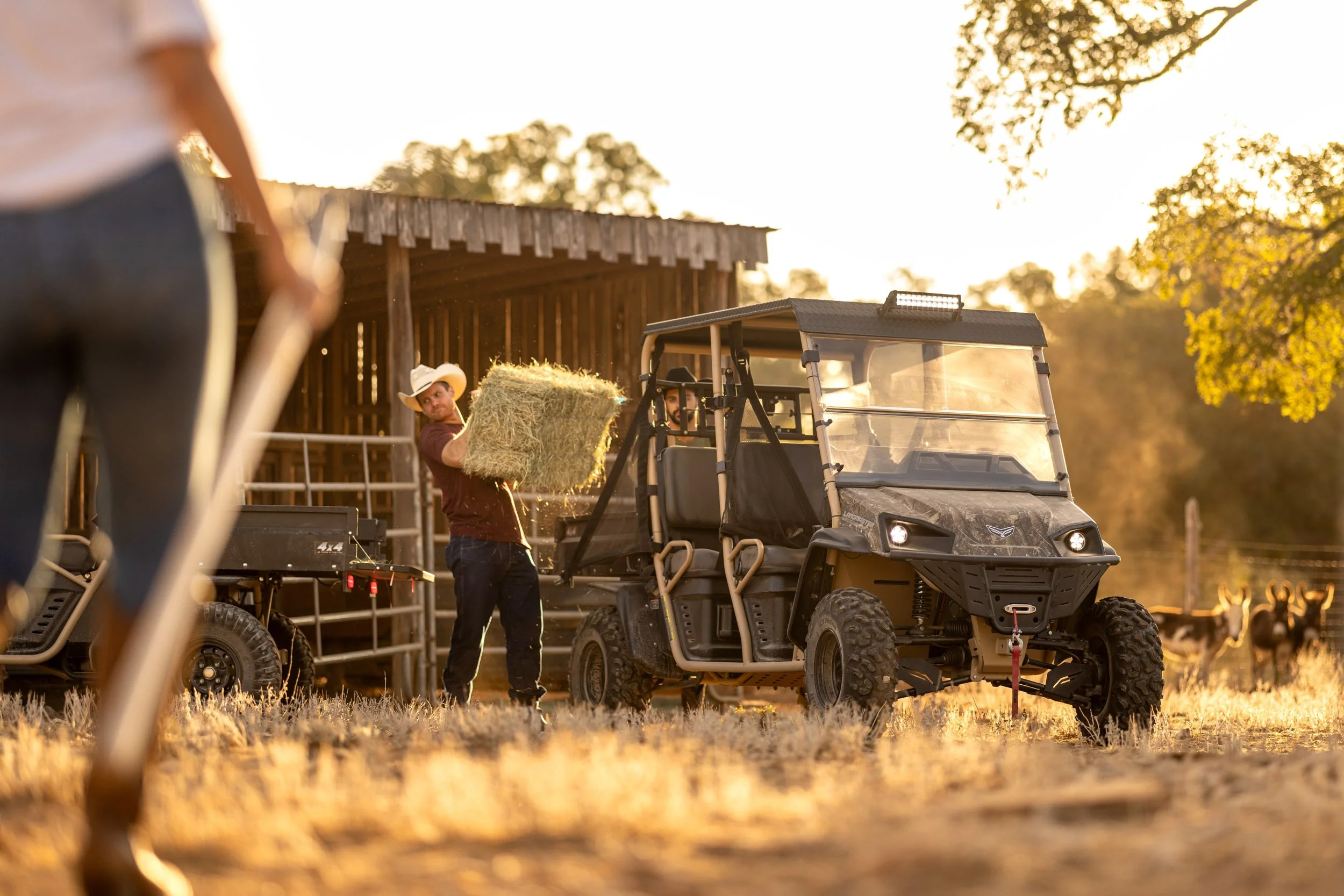 Man on a farm holding hay next to a utility vehicle during sunset.