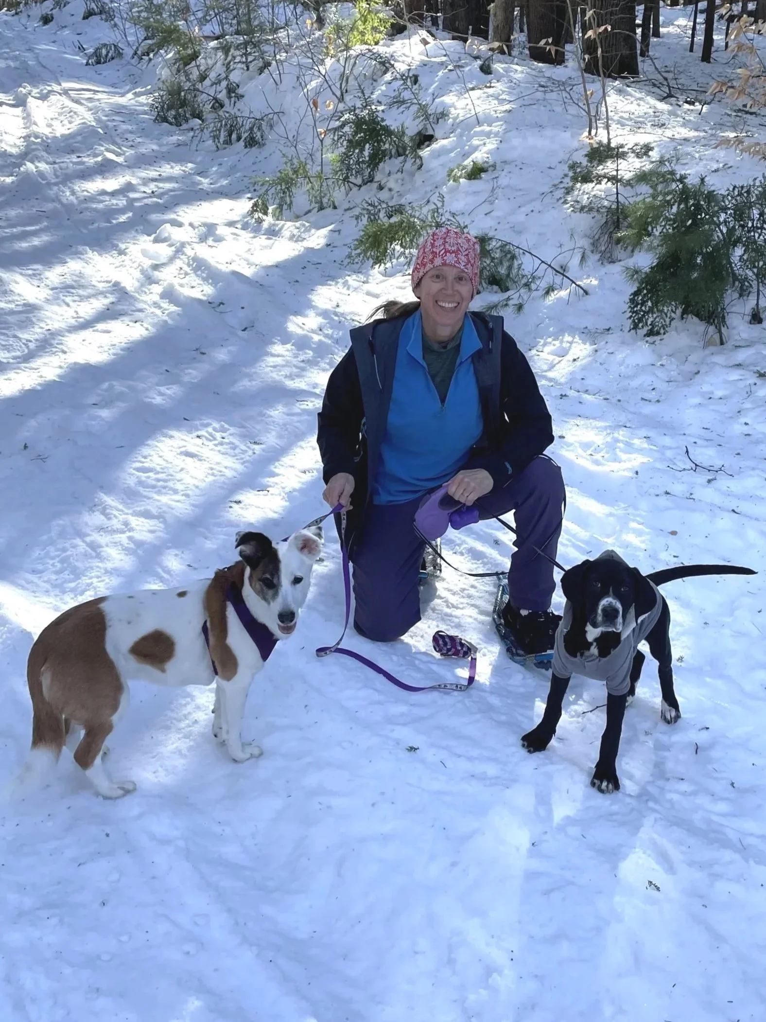 Image of Maureen AuCoin with her dog Rory and Percy enjoying the snow.