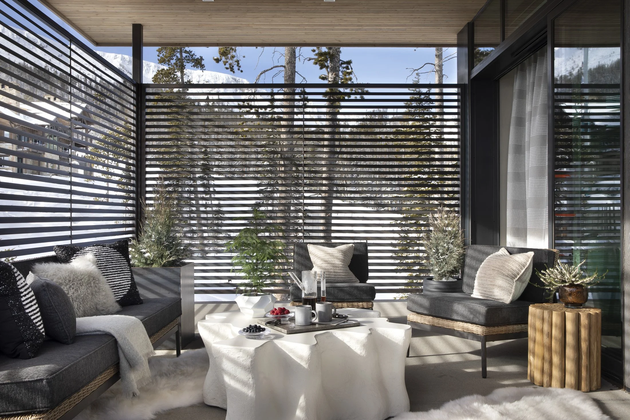 LPSL-35-ski-house-covered-outdoor-living-space.jpg.jpg