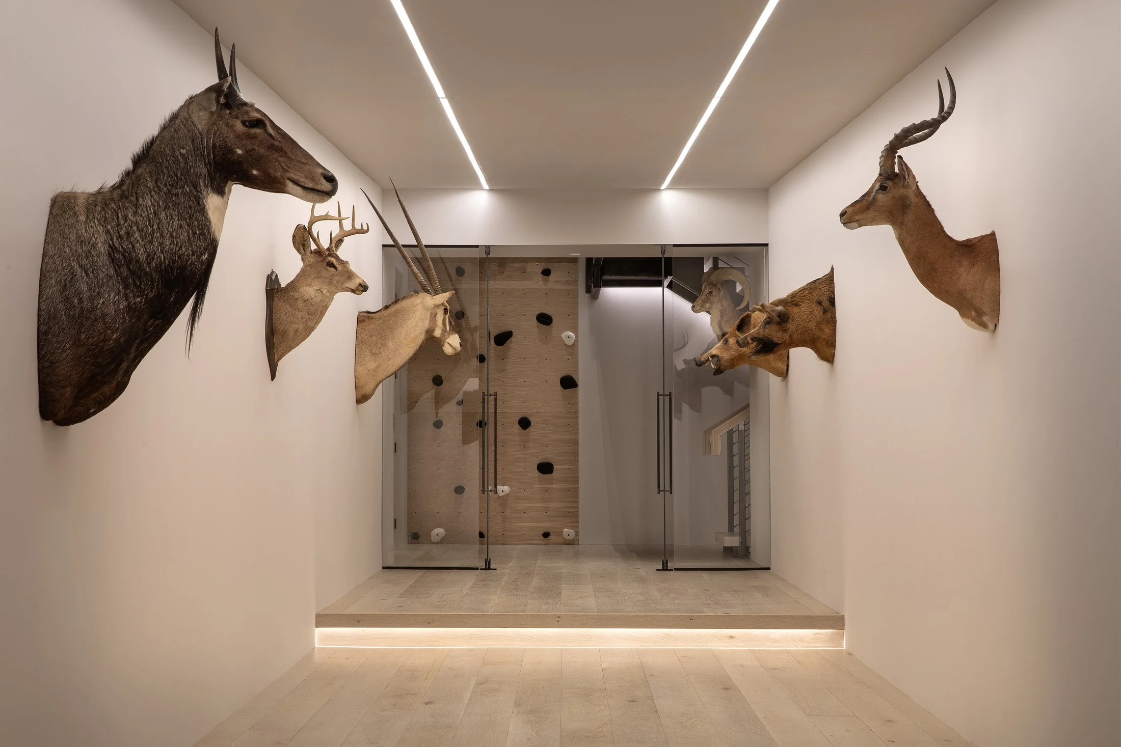 ASH-02-trophy-hallway-climbing-wall.jpg