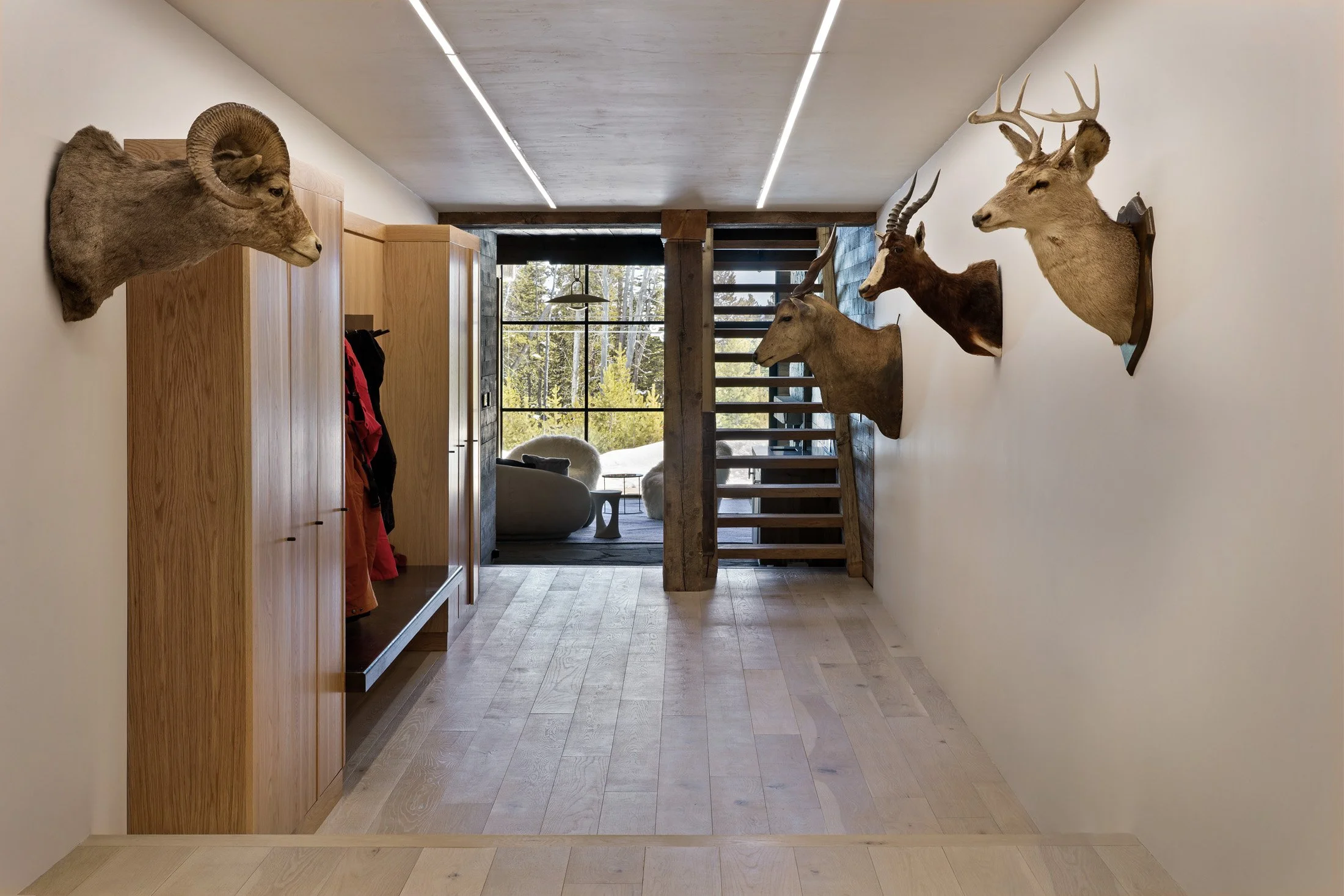 ASH-04-entry-hallway-wildlife-display.jpg