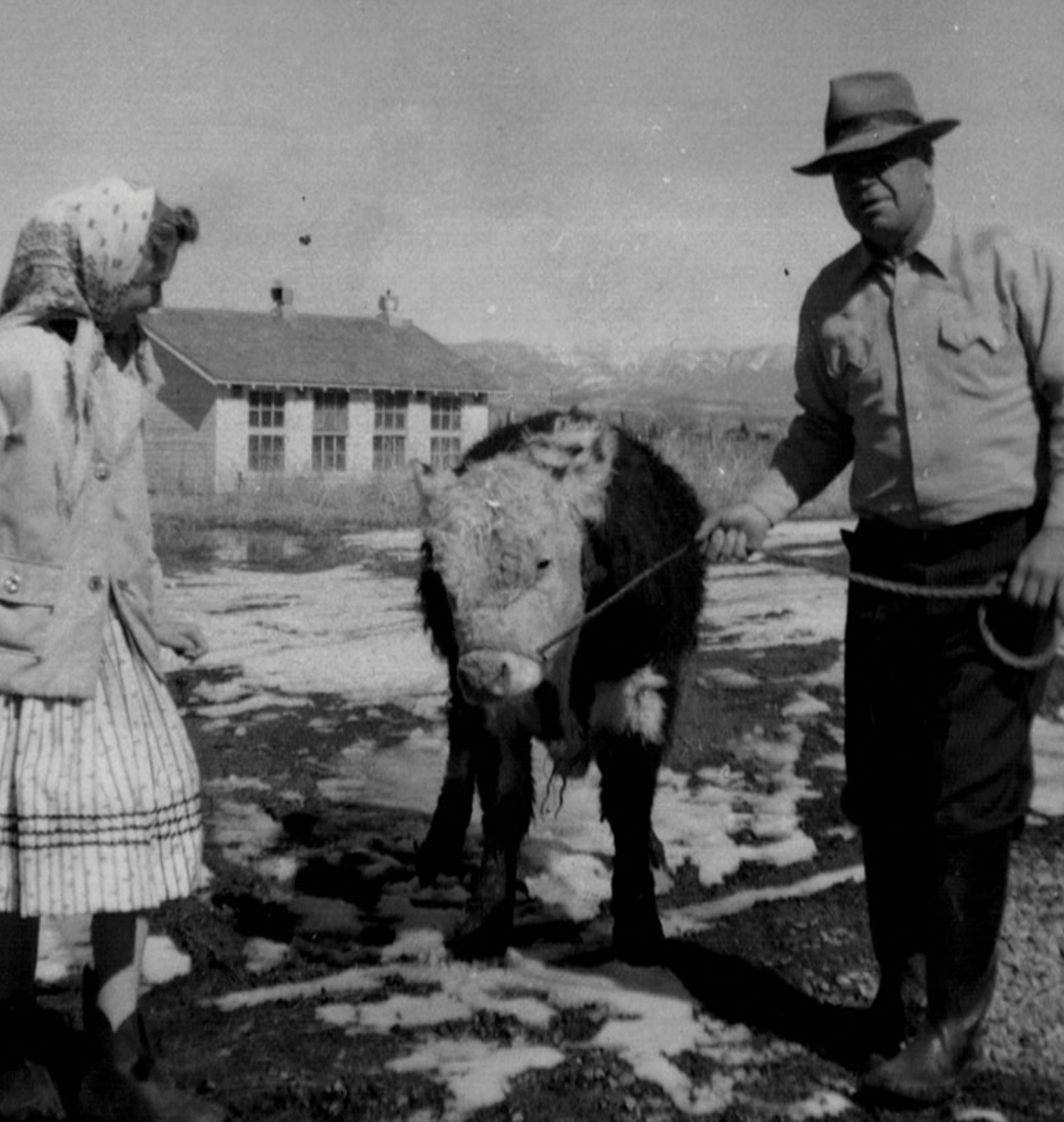 JWH-01-heist-family-ranch-history.png