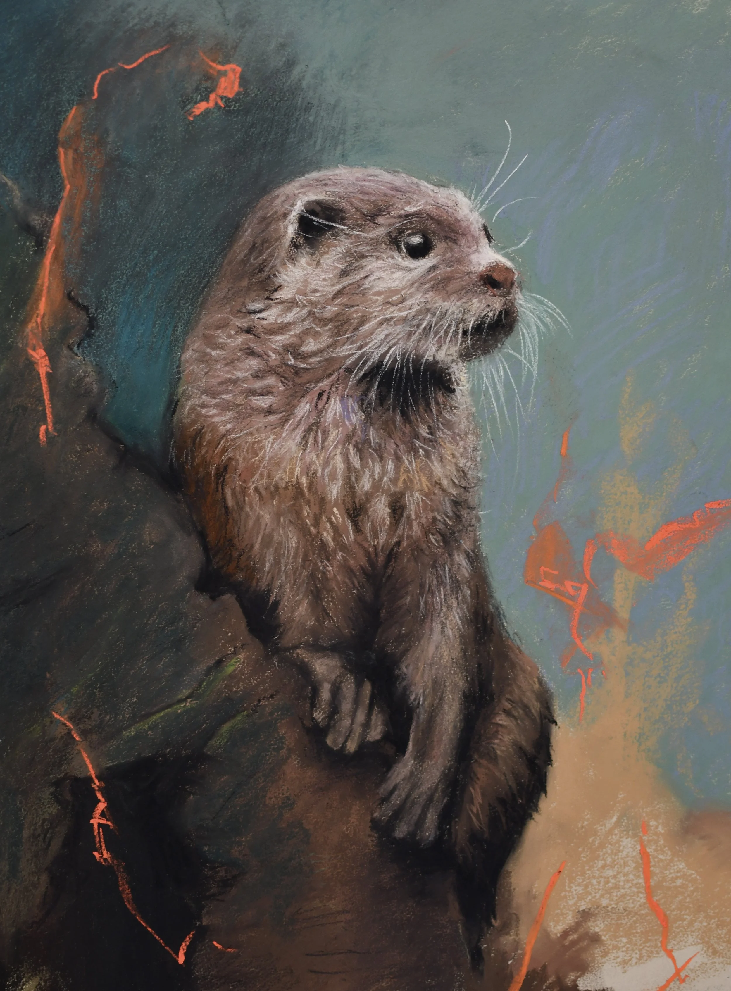 Otter