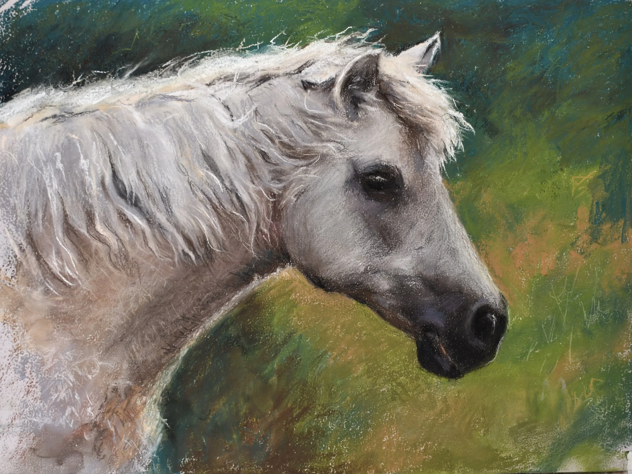 Grey Connemara, 10''x12''