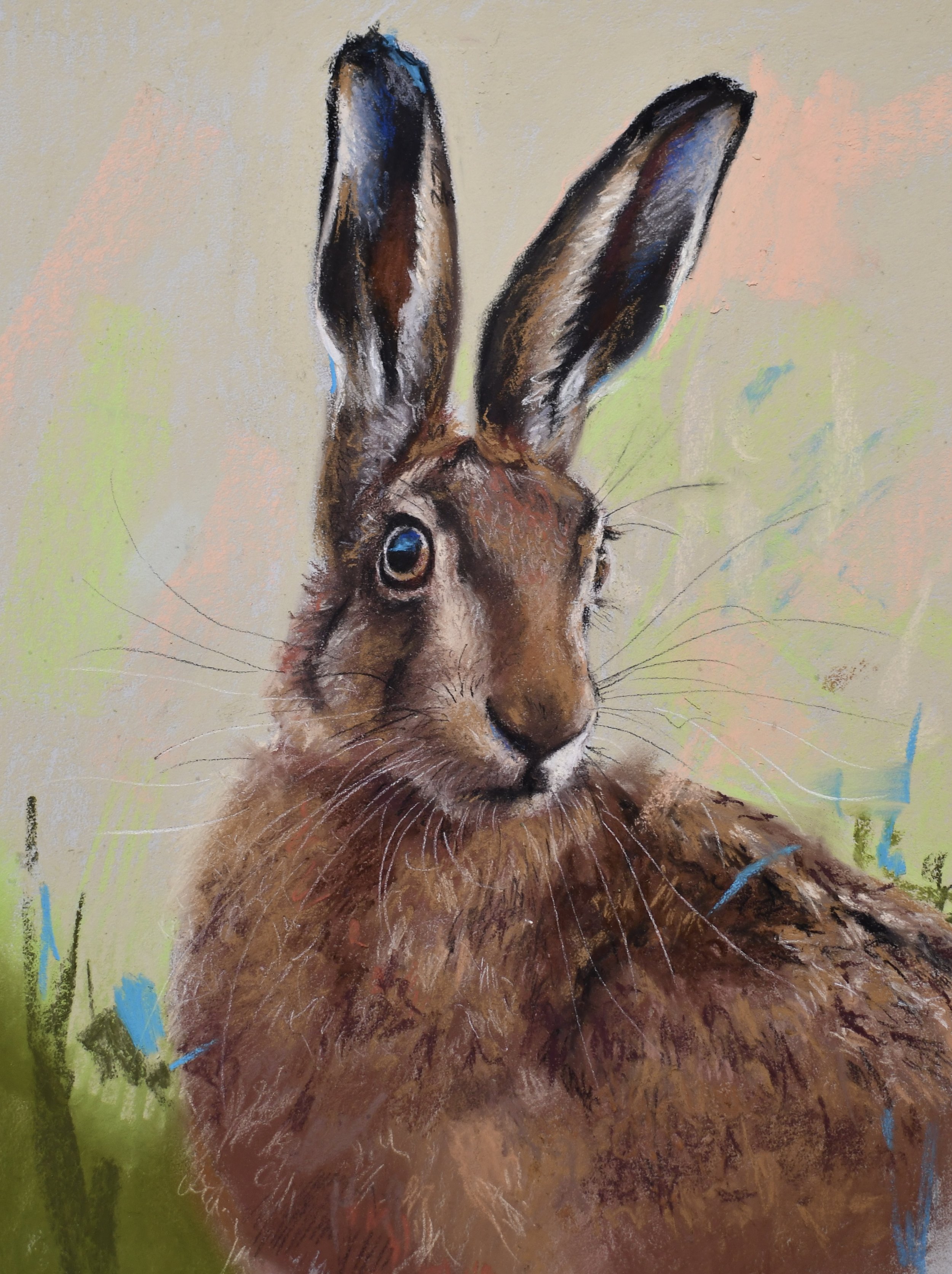 Irish Hare