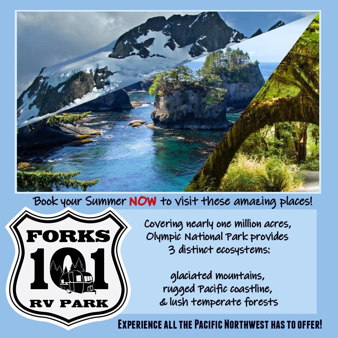 Olympic National Park2.jpg