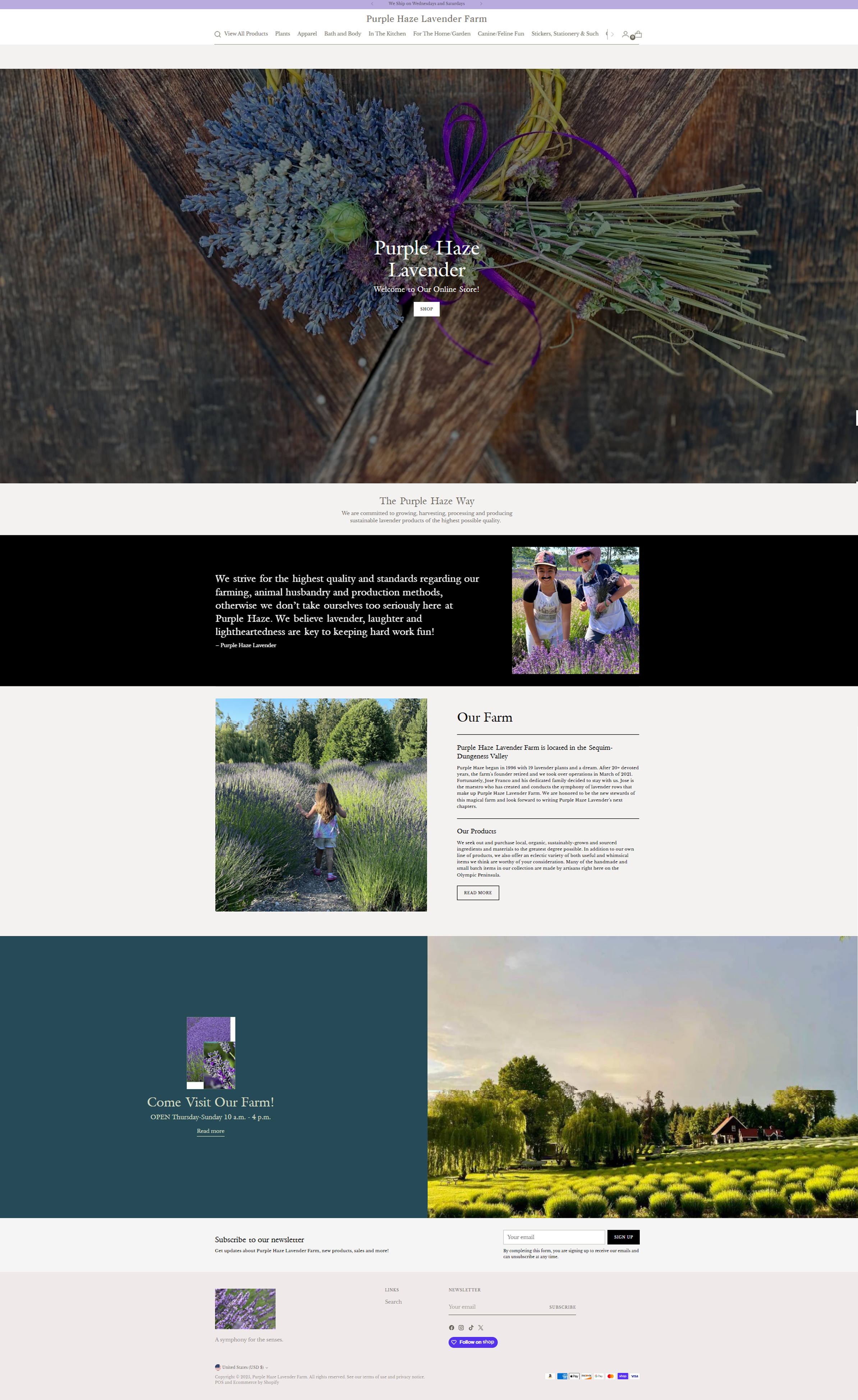 Website Build Templates Purple Haze2.png