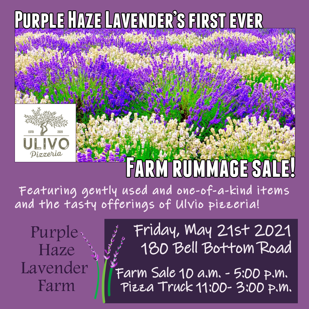 Purple Haze Lanvendar Farms Flyer Updated.png