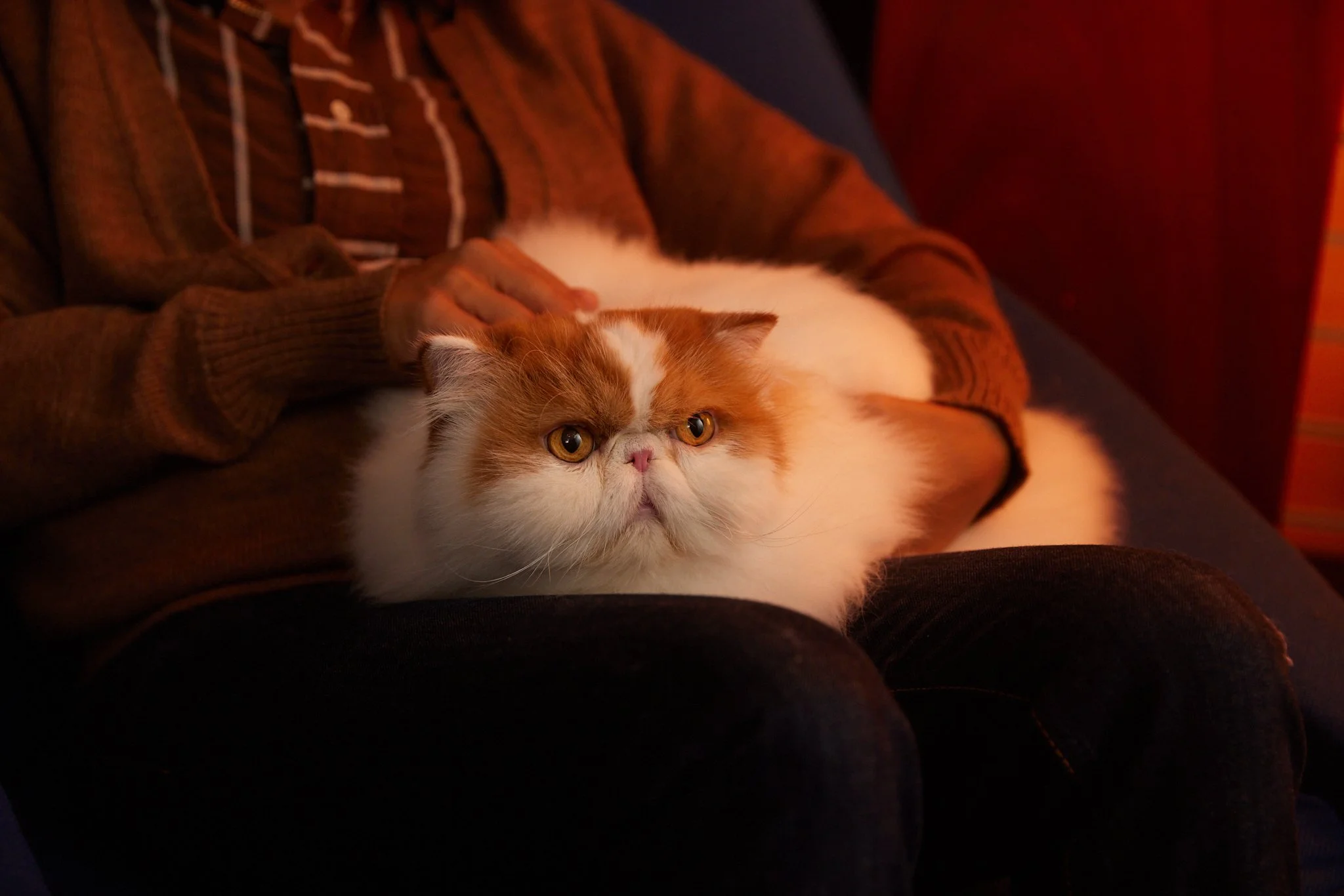 20240410_GIO_DAY_1_BOOKSTORE Extras_388.jpg