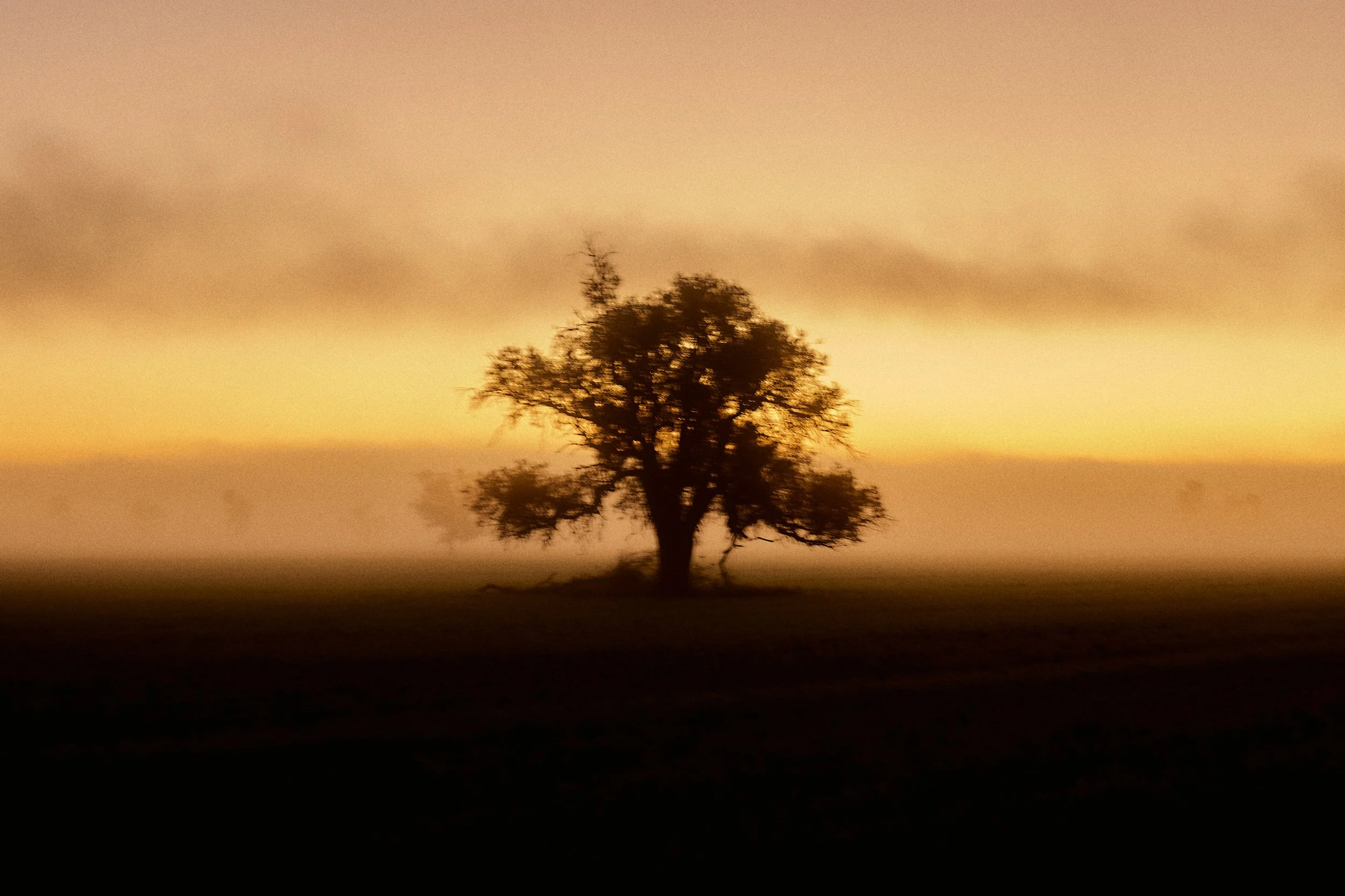 Narrabri_054.jpg