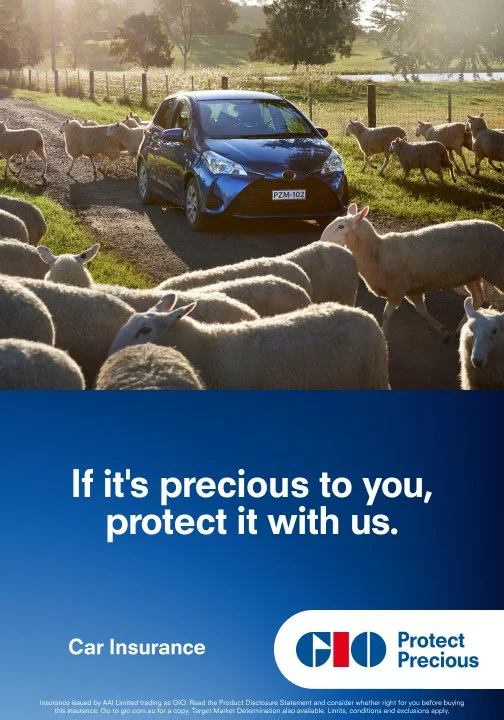 SUCSHO0221_GIO_OOH_Protect_Precious_Car_504x720_FA.jpg