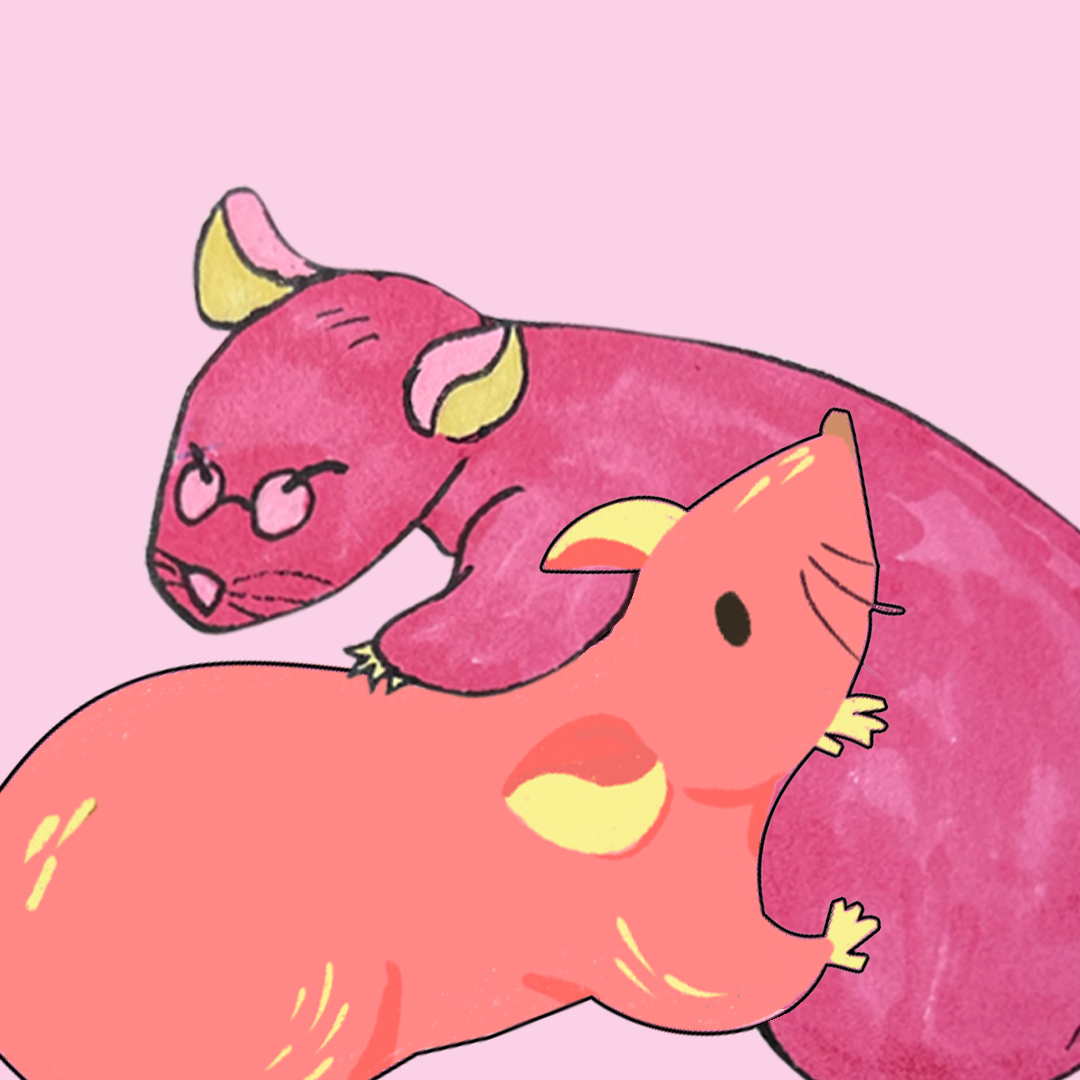 Cartoon illustration of a pink cat wearing glasses curled up on a pink background with a small yellow duckling resting on its back.
