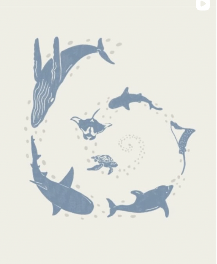 Screenshot 2026-03-02 at 5.46.07 PM.png