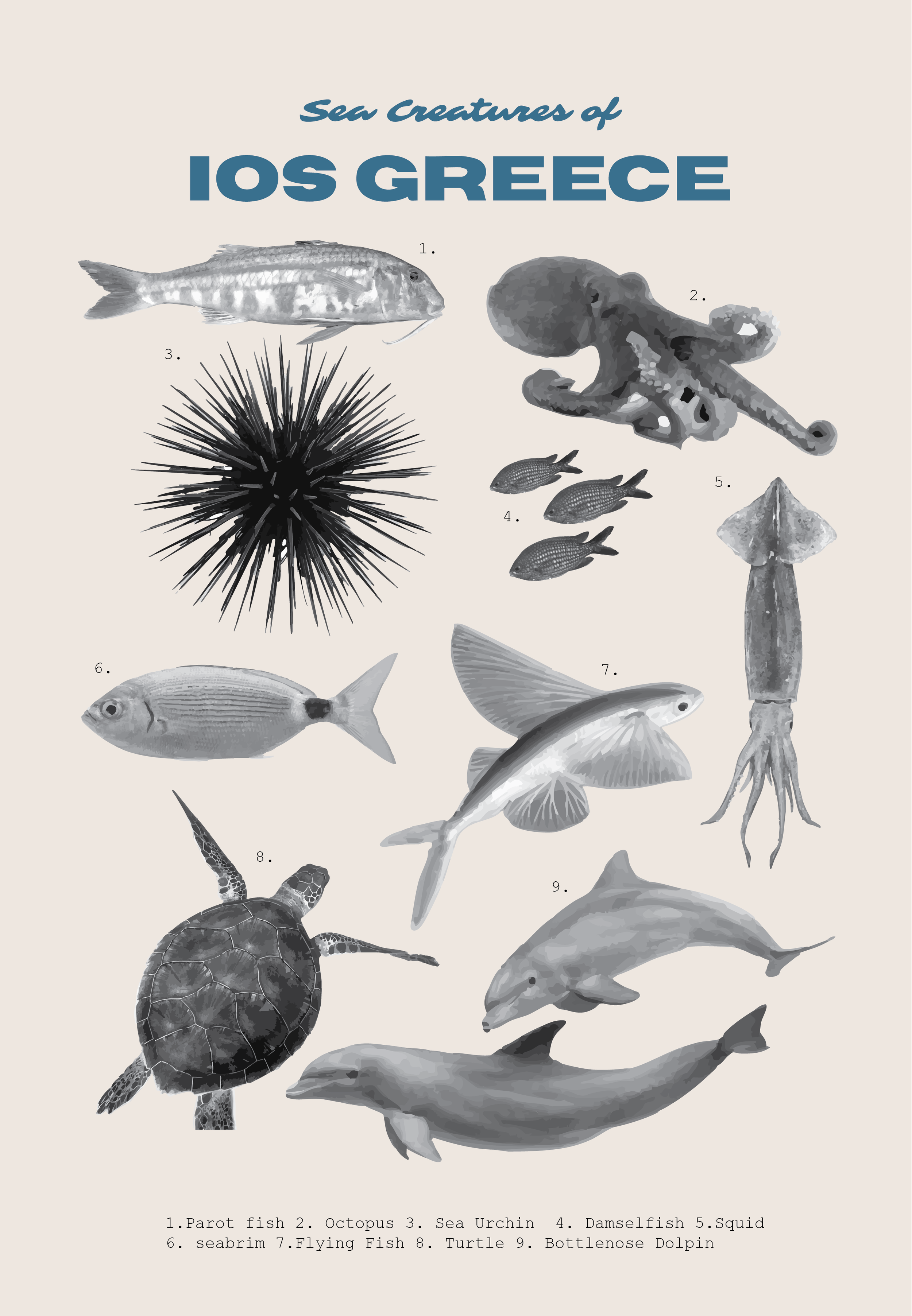 Sea Creatures of Ios.png