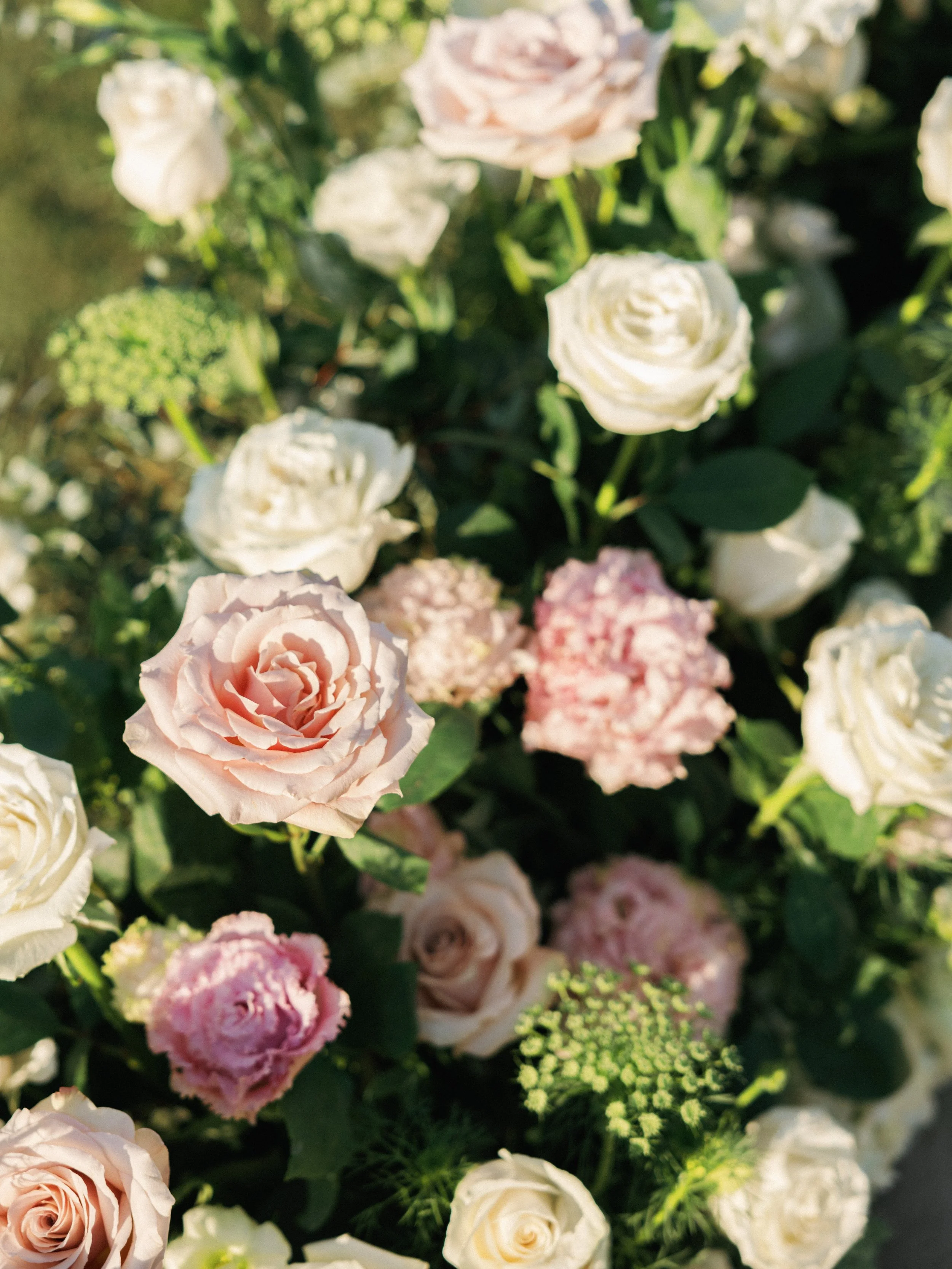 Kat and Nelson_00420.jpg