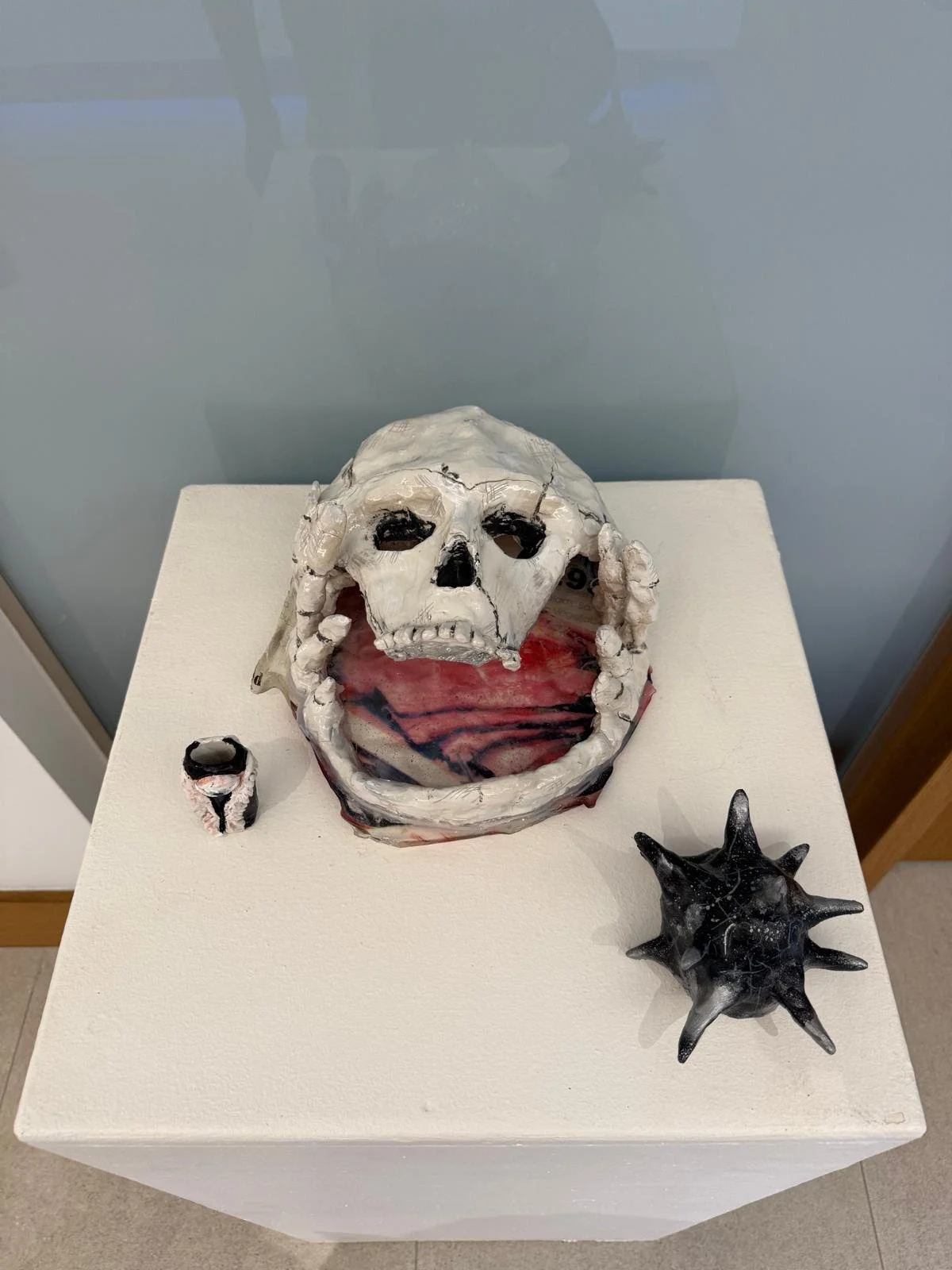 Plaster skull with resin