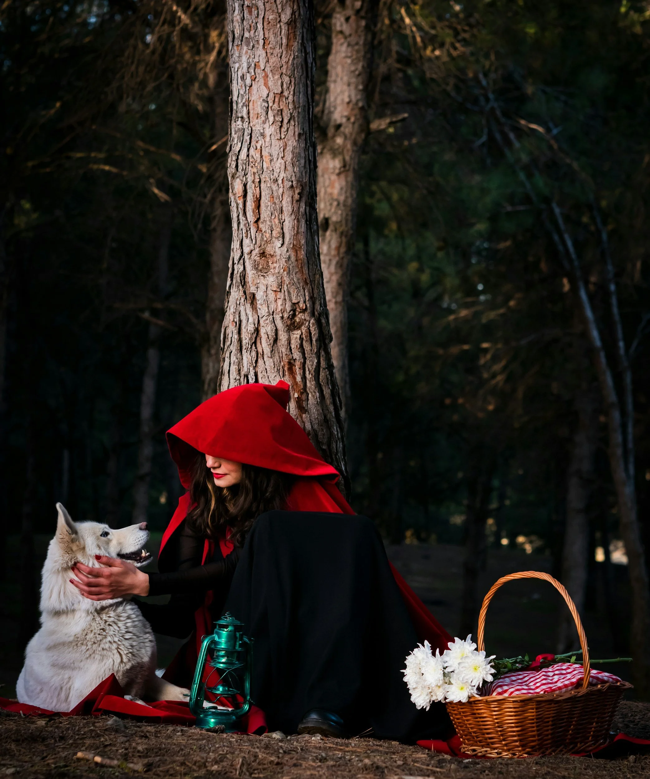 An image of a woman in a red hood with a wolf, like Red Riding Hood.
