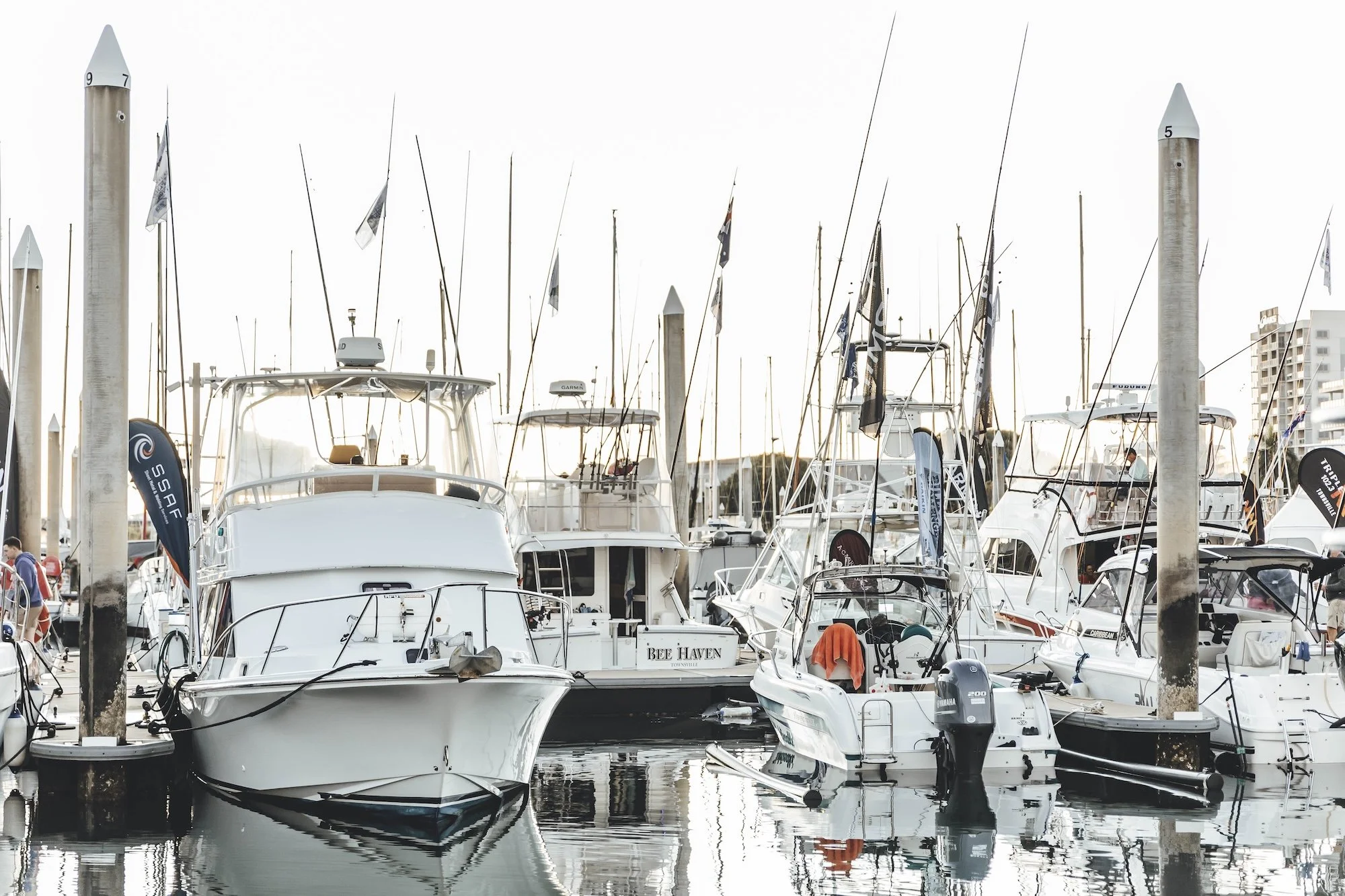 TGFC BILLFISH STILLS - TUESDAY-39.jpg
