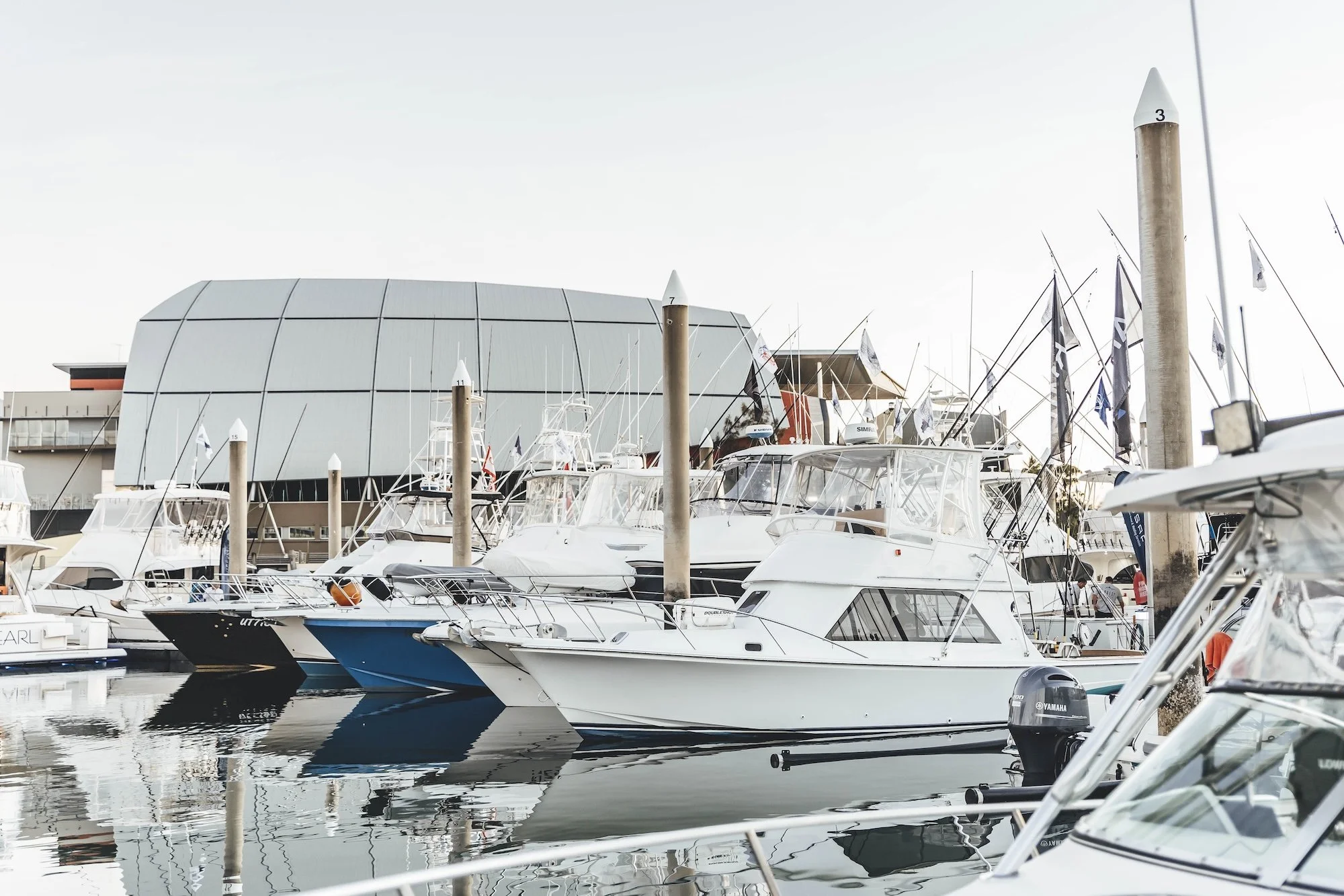 TGFC BILLFISH STILLS - TUESDAY-37.jpg