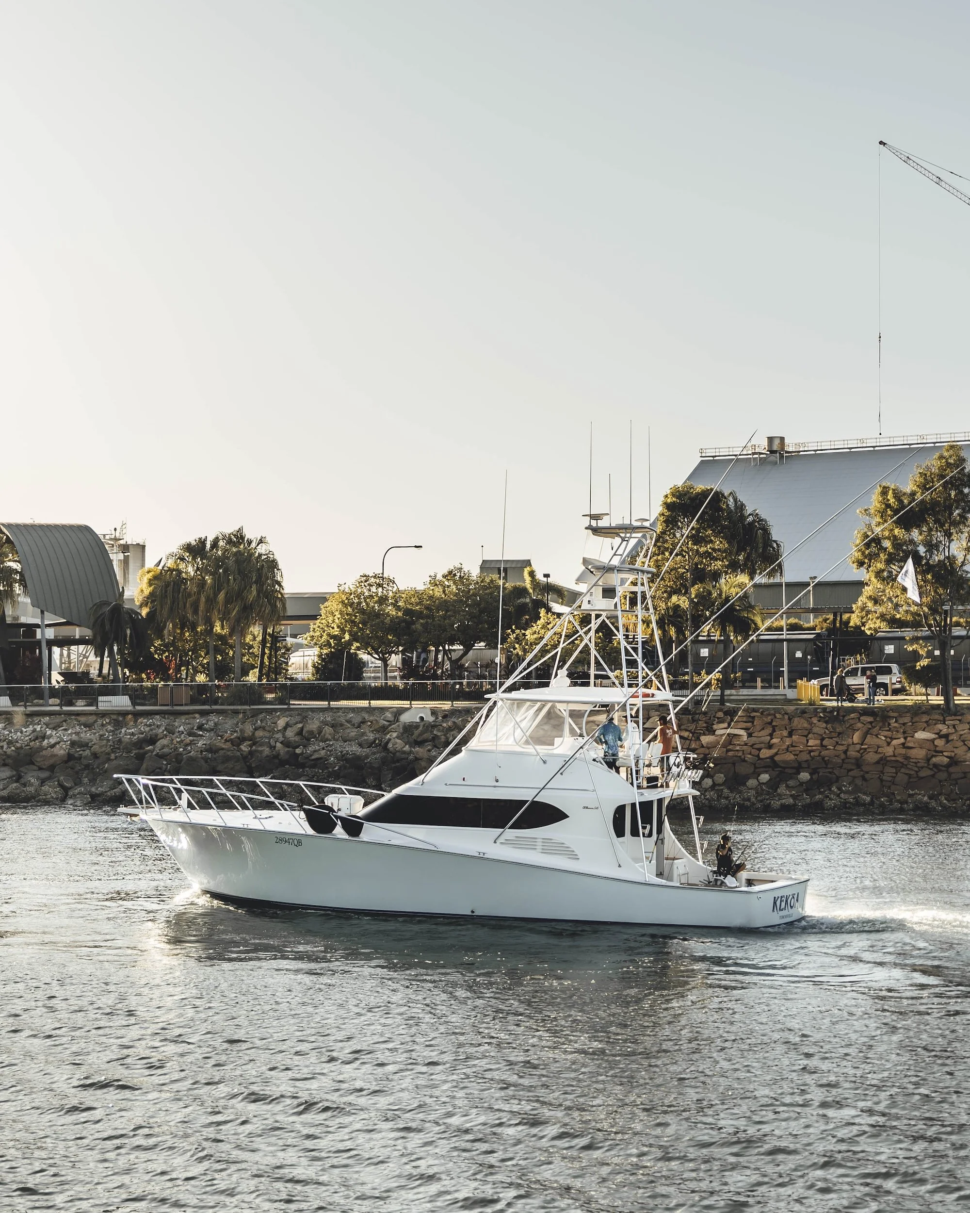 TGFC BILLFISH STILLS - TUESDAY-85.jpg
