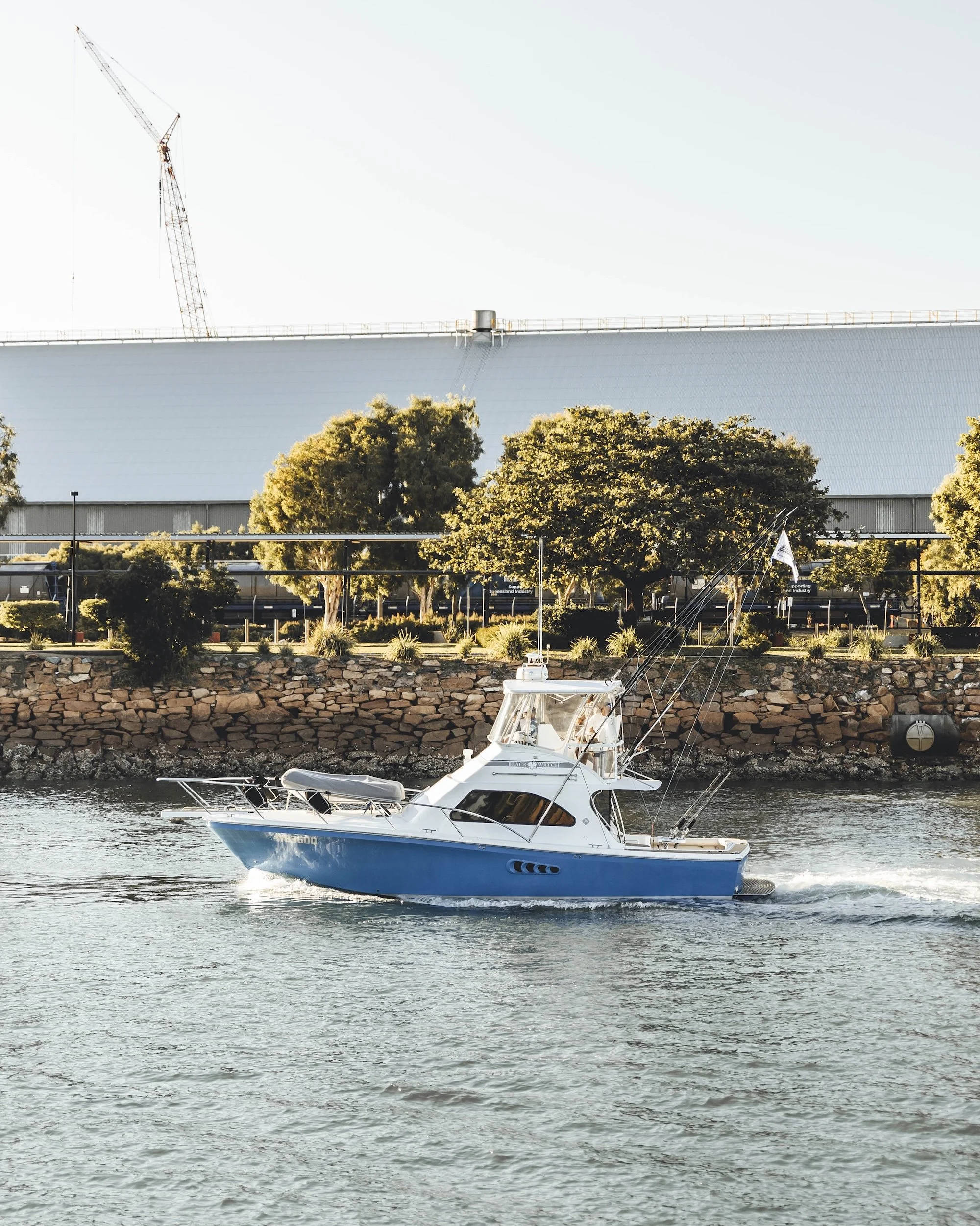 TGFC BILLFISH STILLS - TUESDAY-105.jpg